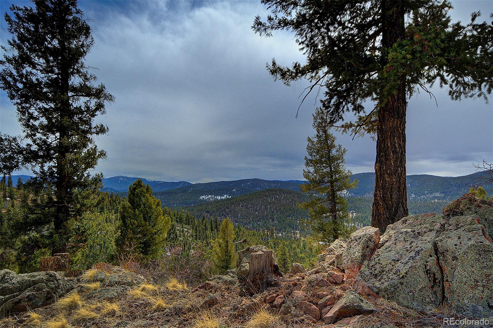 MLS Image #33 for 1102  hitchrack road,bailey, Colorado