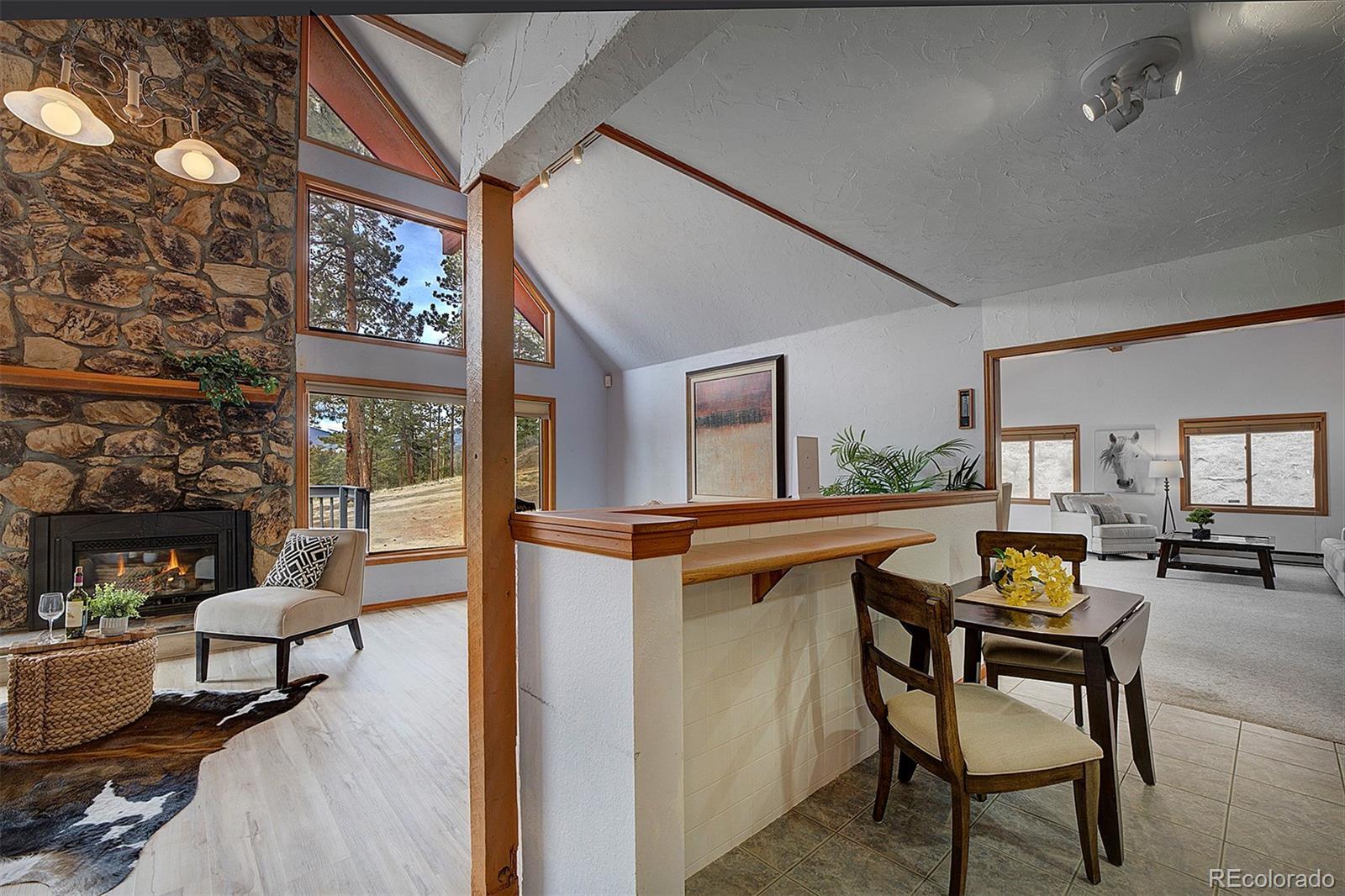 MLS Image #6 for 1102  hitchrack road,bailey, Colorado