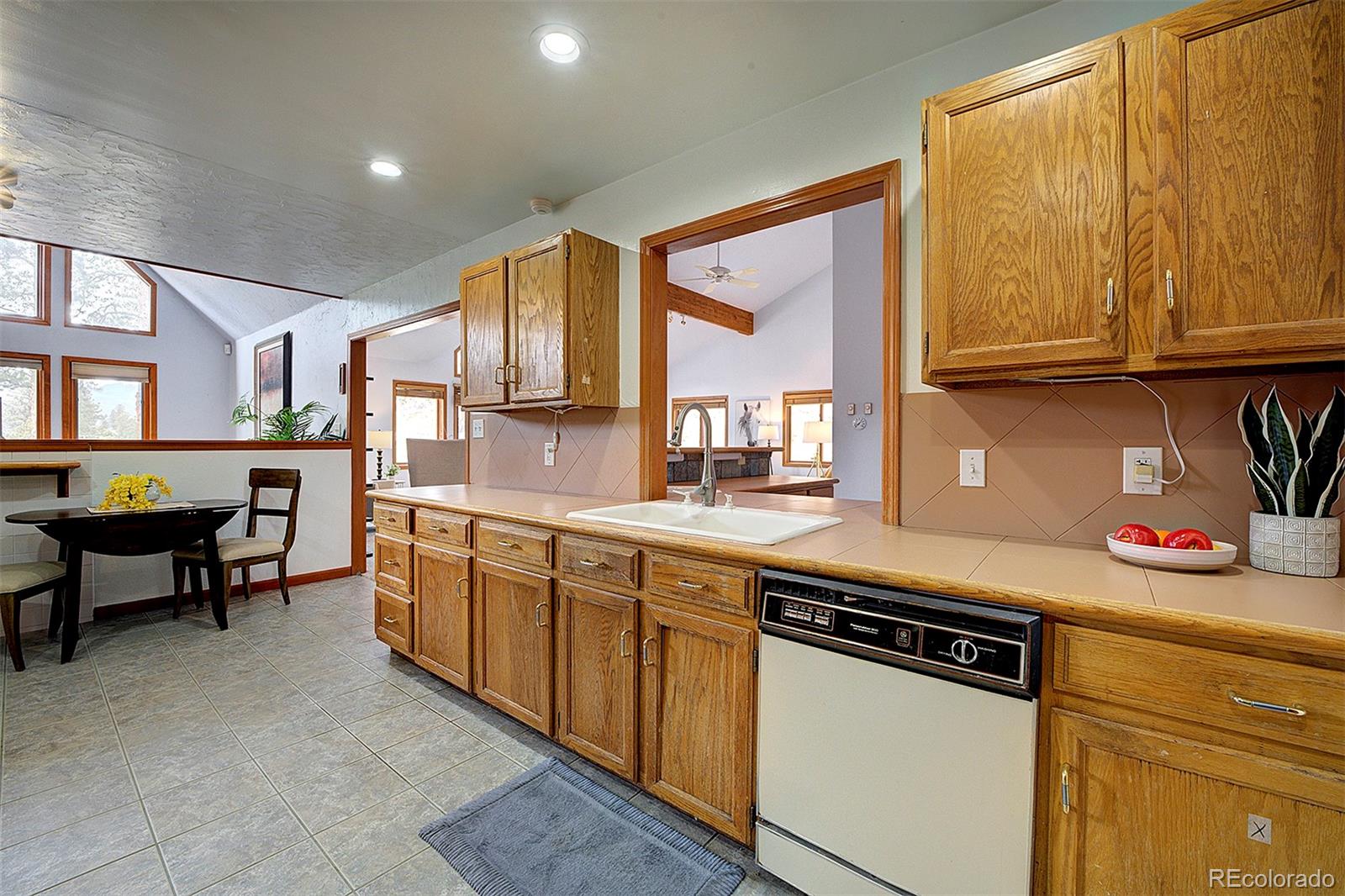 MLS Image #8 for 1102  hitchrack road,bailey, Colorado