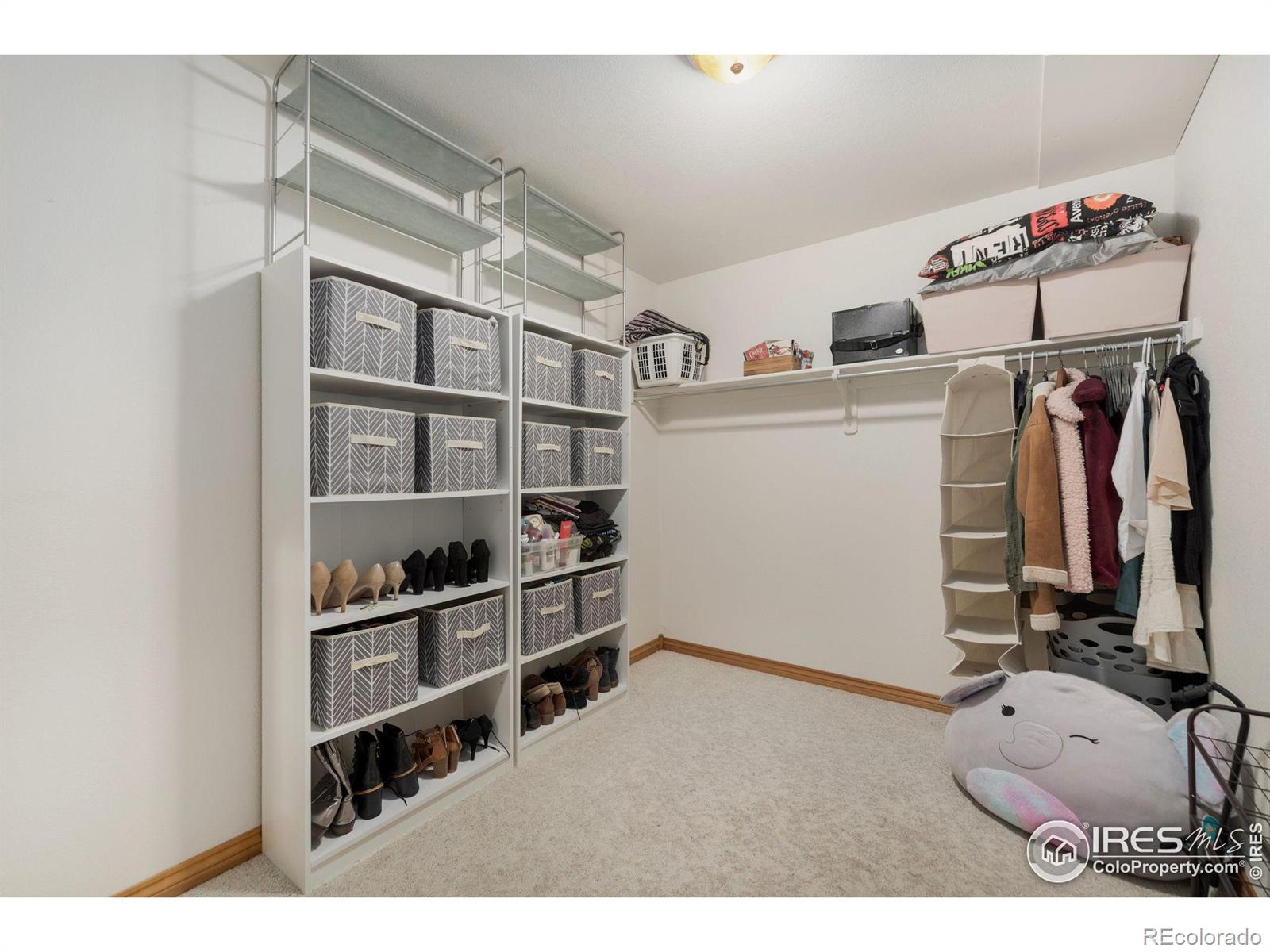 MLS Image #31 for 3370  westerdoll avenue,loveland, Colorado