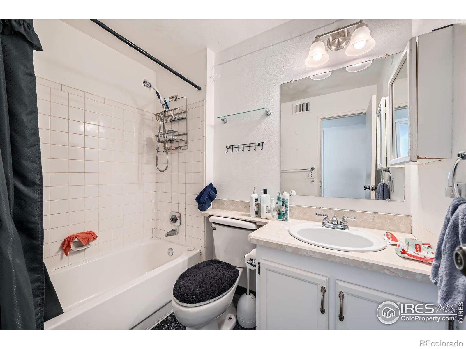 MLS Image #10 for 1864 s pitkin circle,aurora, Colorado