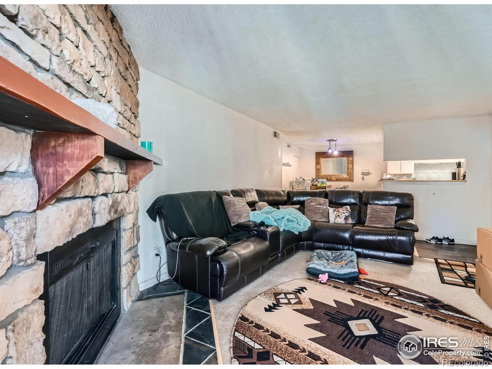MLS Image #3 for 1864 s pitkin circle,aurora, Colorado