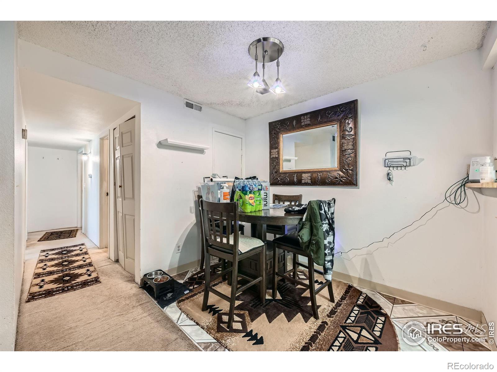 MLS Image #7 for 1864 s pitkin circle,aurora, Colorado