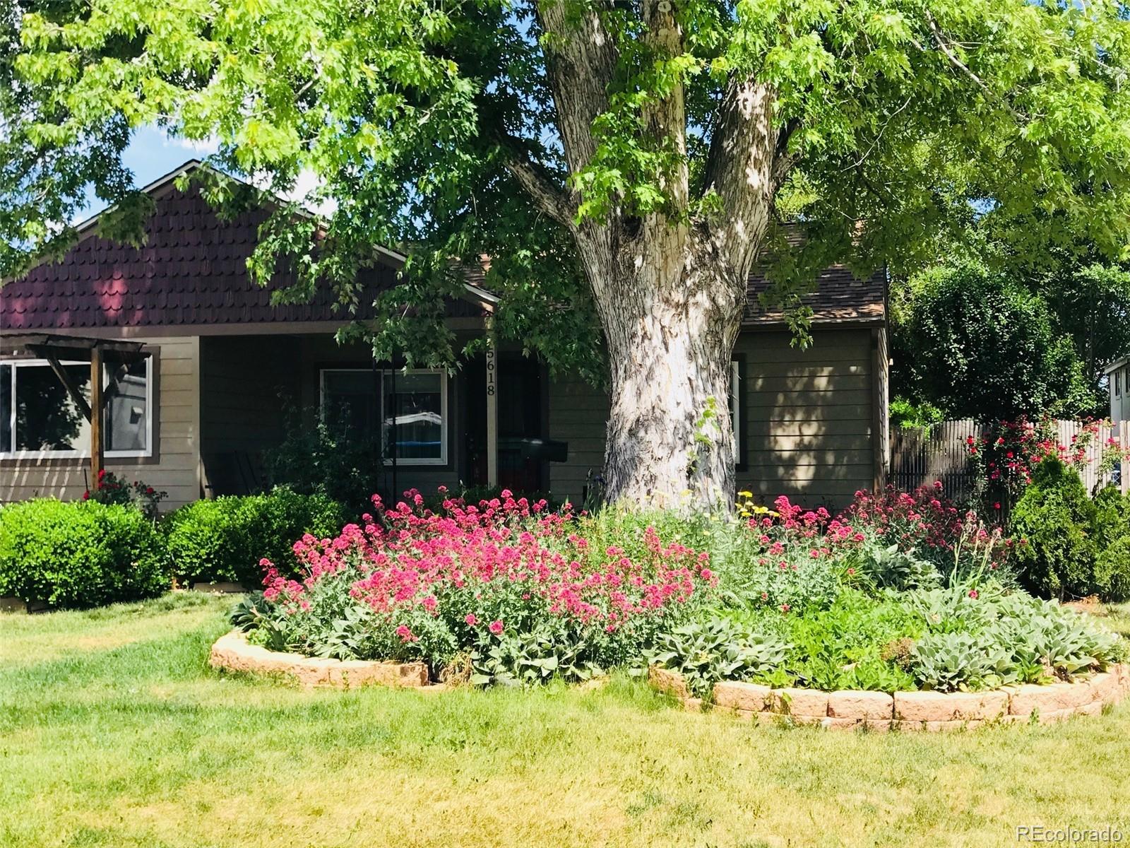 MLS Image #12 for 5618  carr street,arvada, Colorado