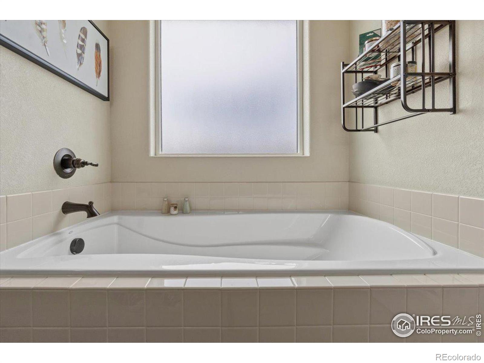 MLS Image #18 for 1323  chamois drive,severance, Colorado