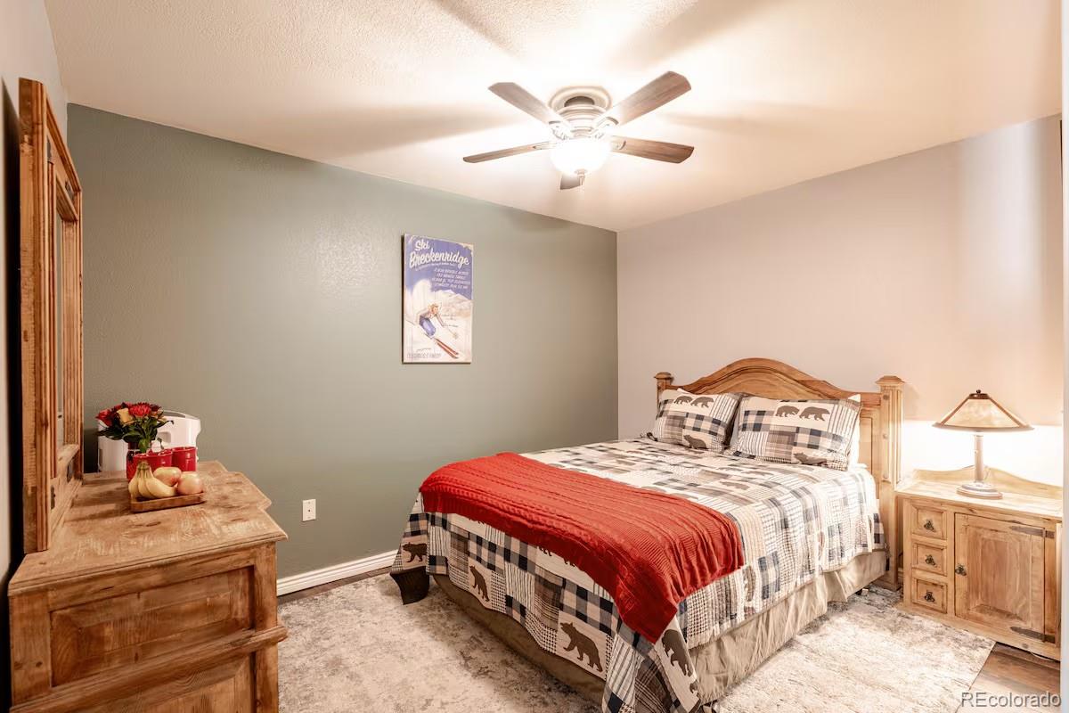 MLS Image #16 for 655  four o clock road,breckenridge, Colorado