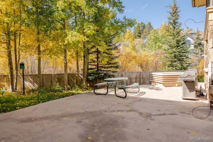 MLS Image #33 for 655  four o clock road,breckenridge, Colorado