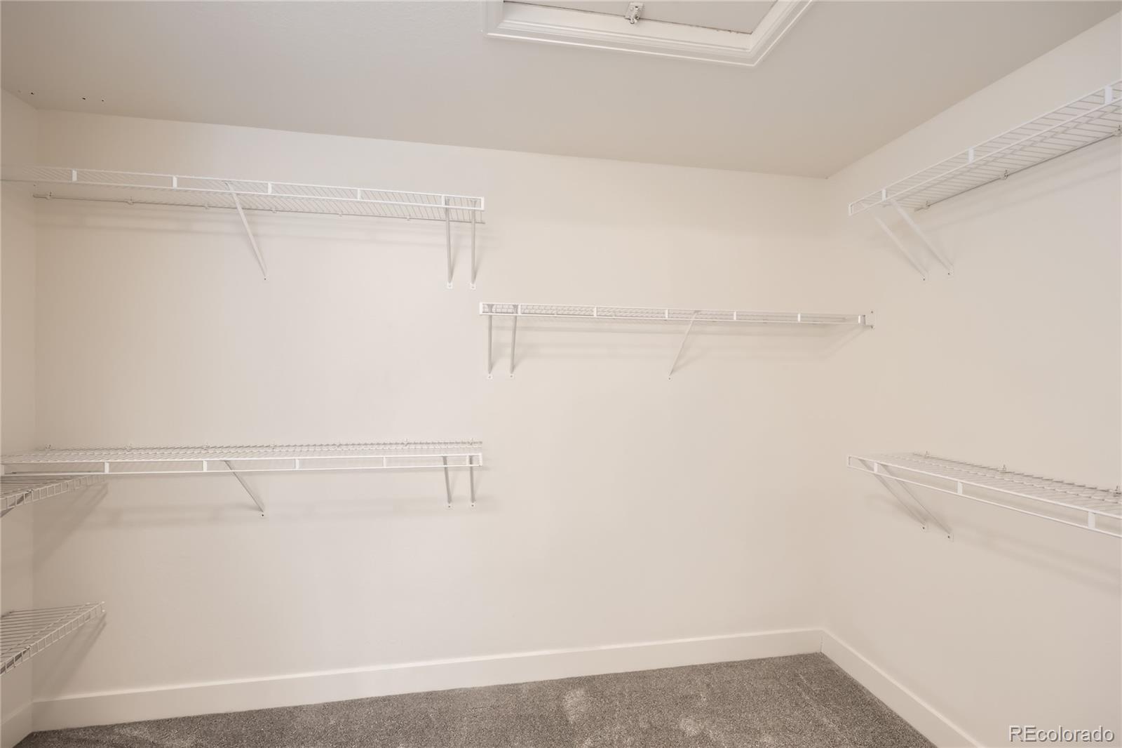 MLS Image #14 for 1896  hogan court,castle rock, Colorado