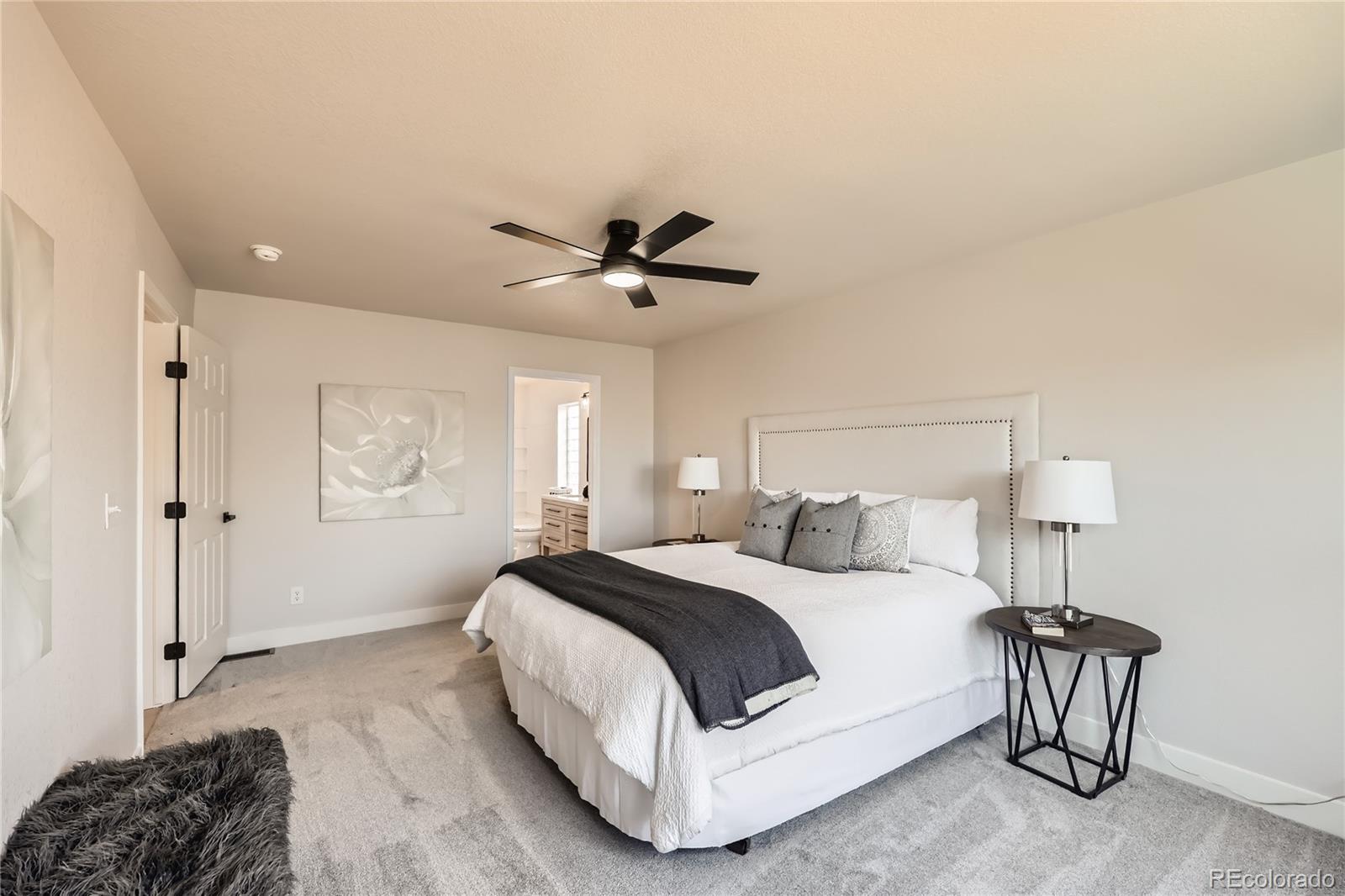 MLS Image #9 for 1896  hogan court,castle rock, Colorado
