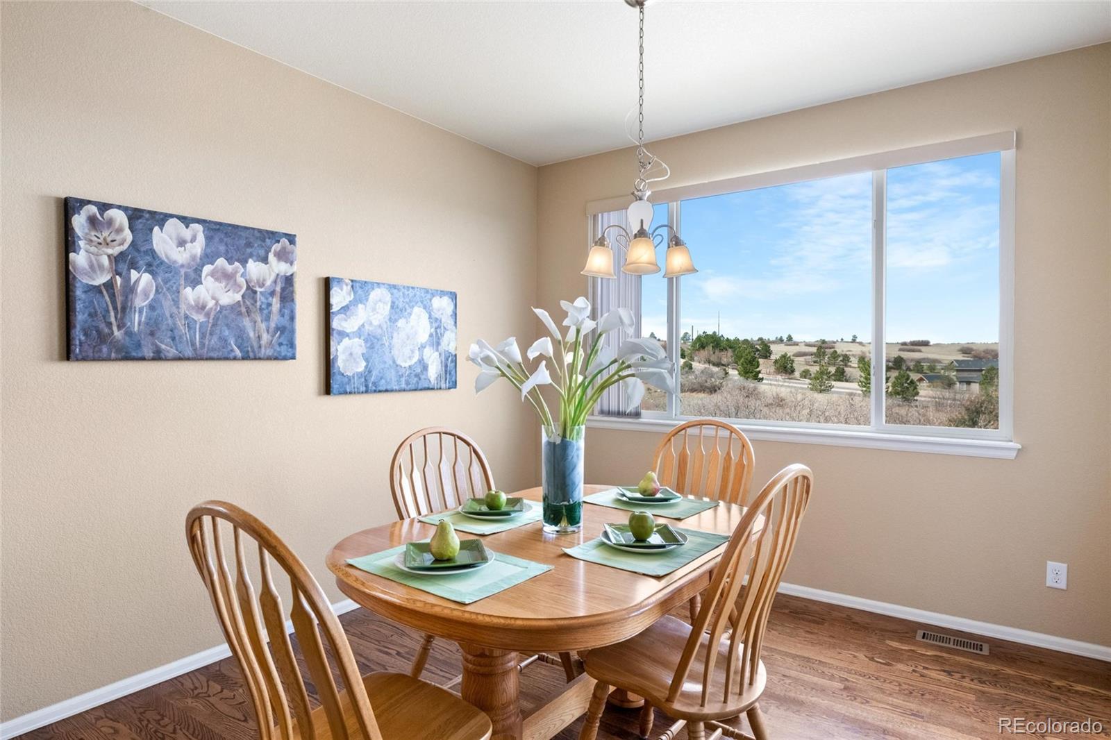 MLS Image #2 for 2645  terravita way,castle rock, Colorado