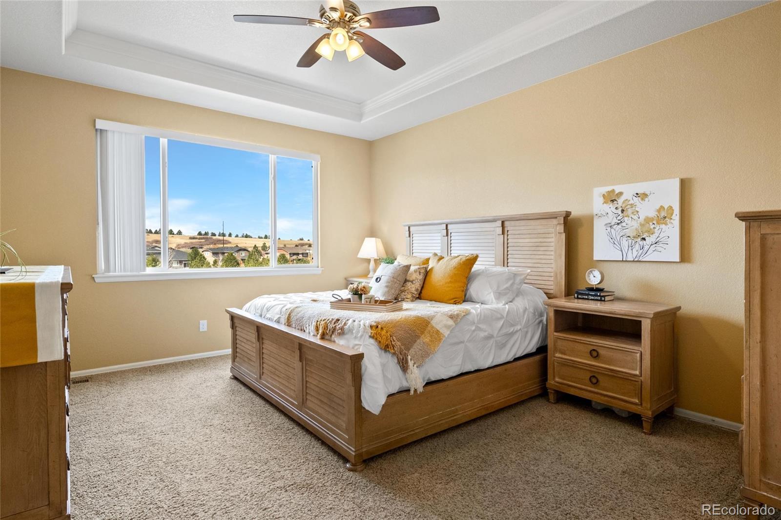 MLS Image #9 for 2645  terravita way,castle rock, Colorado