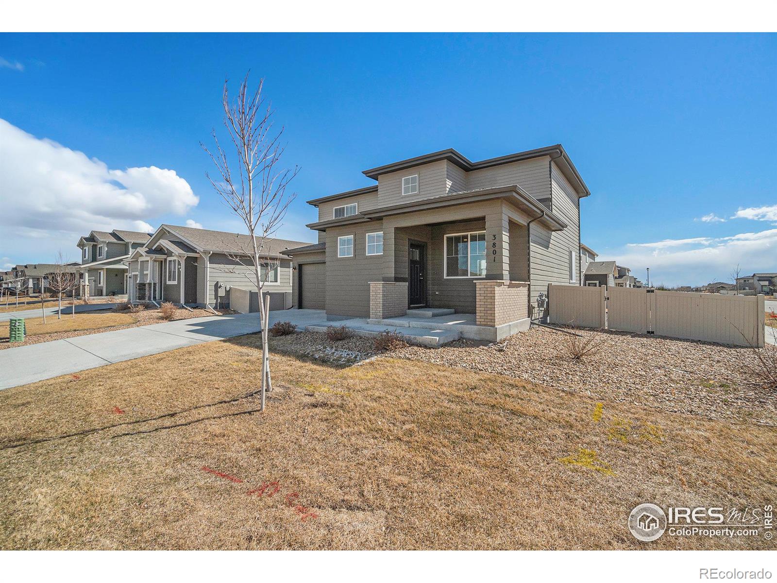 Report Image for 3801  Beech Tree Street,Wellington, Colorado