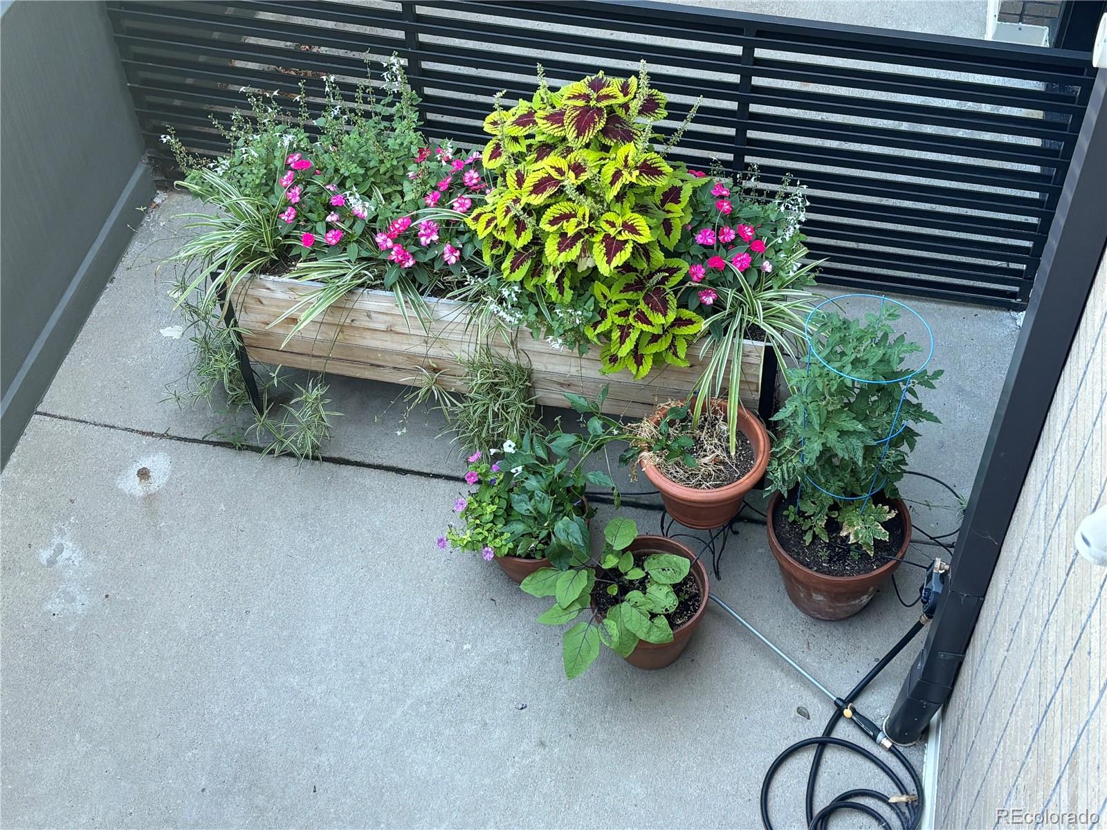MLS Image #24 for 2432  champa street,denver, Colorado