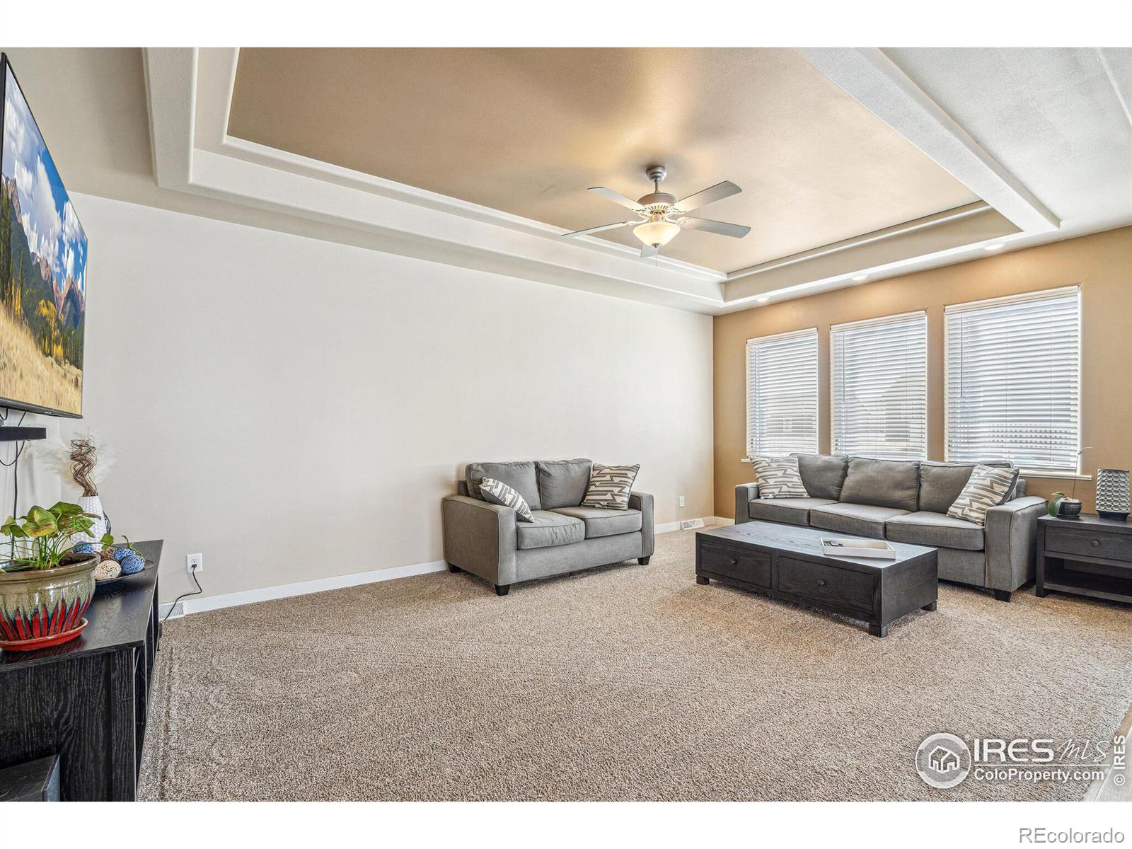 MLS Image #10 for 7891  st vrain drive,frederick, Colorado