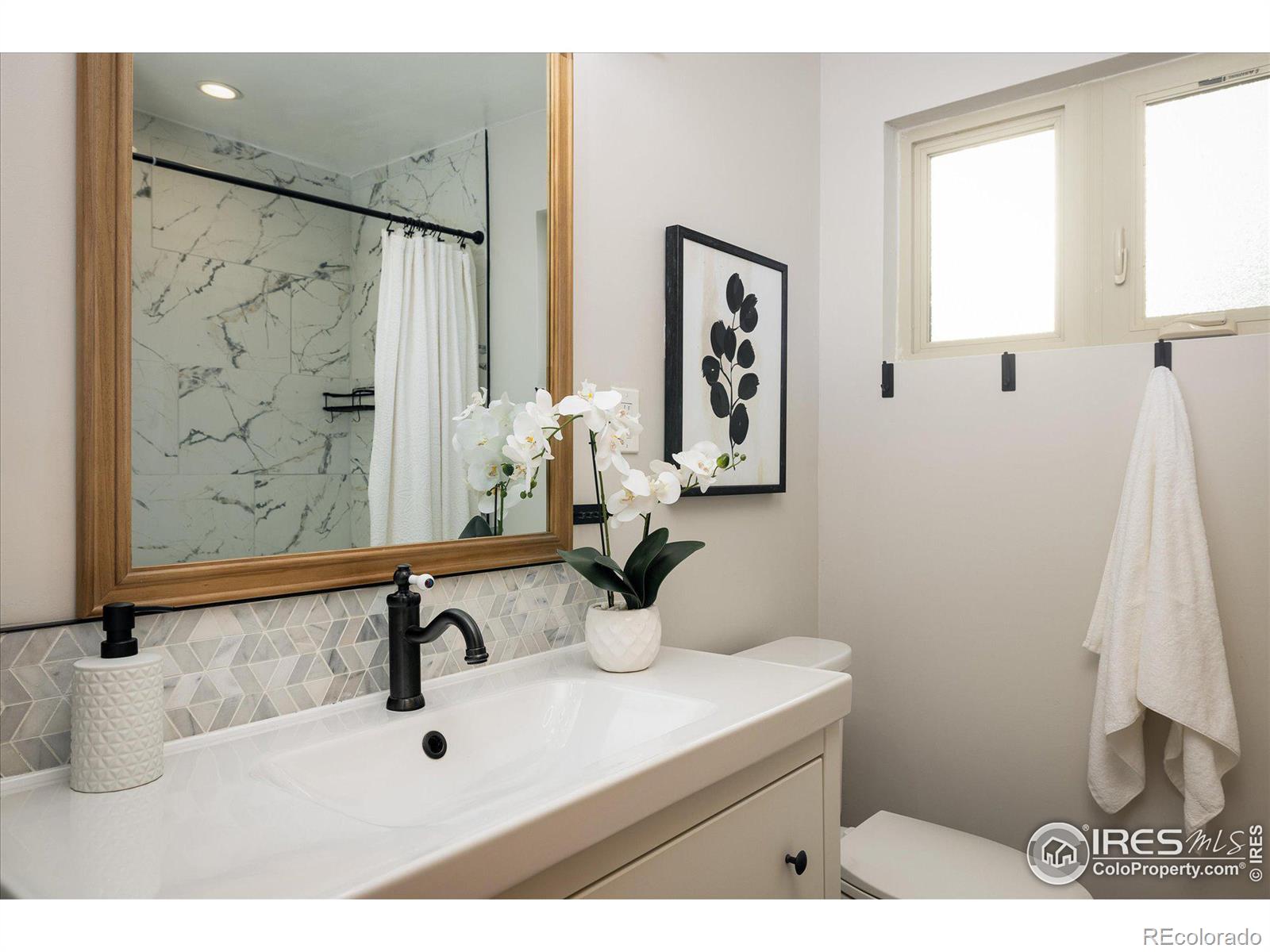MLS Image #15 for 169  emerald street,broomfield, Colorado