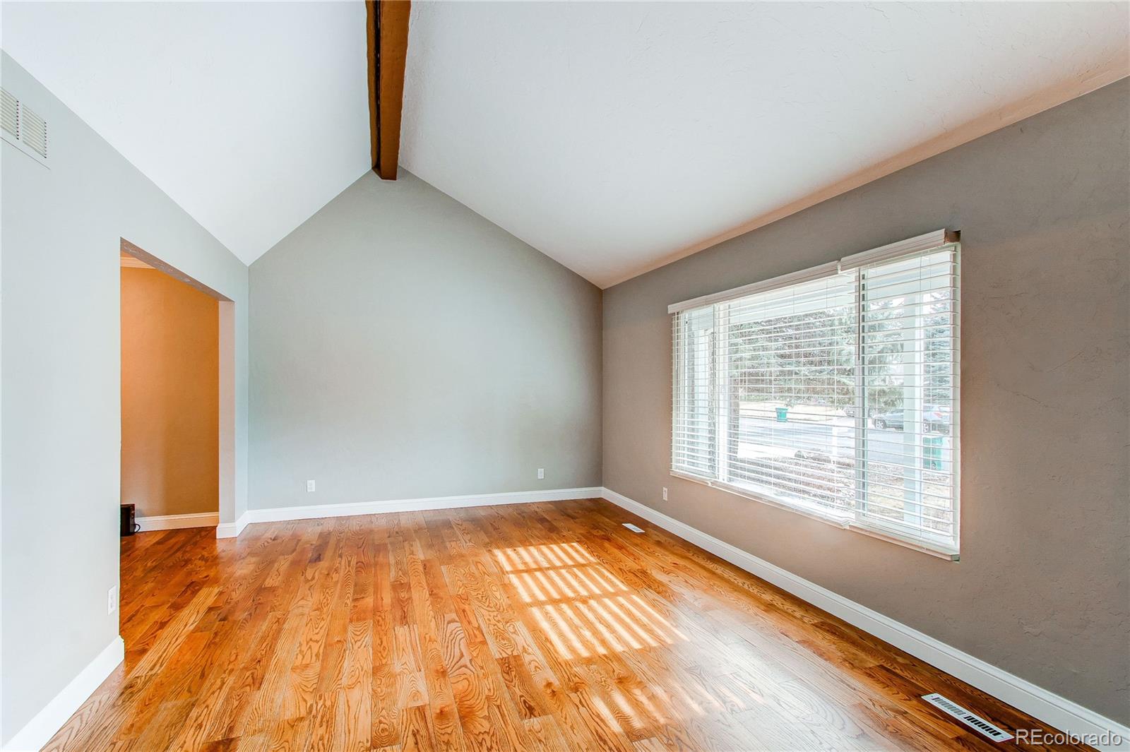 MLS Image #3 for 7163 s xanthia street,centennial, Colorado