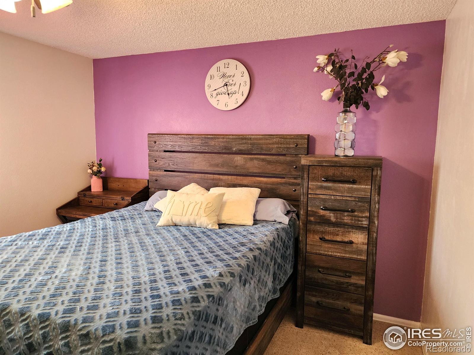 MLS Image #15 for 1754  linden street,longmont, Colorado