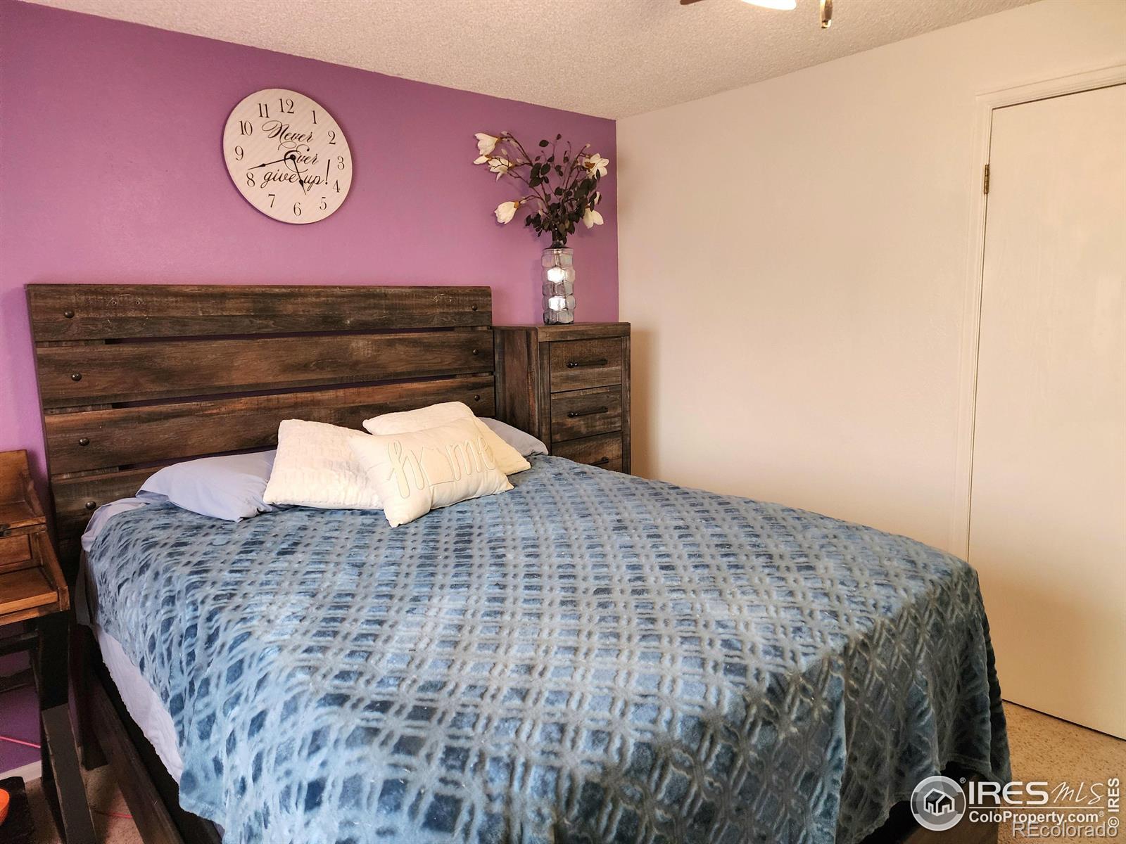 MLS Image #16 for 1754  linden street,longmont, Colorado