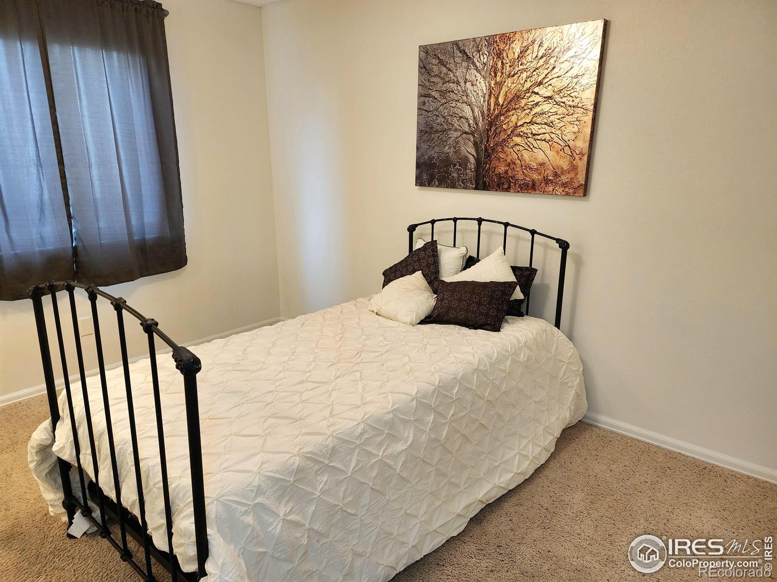 MLS Image #17 for 1754  linden street,longmont, Colorado