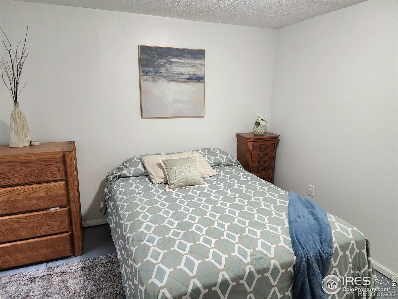 MLS Image #20 for 1754  linden street,longmont, Colorado