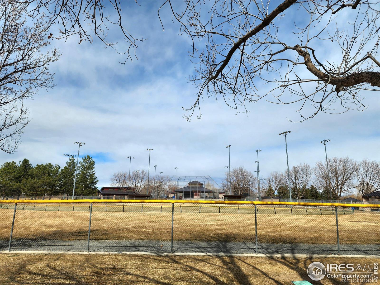 MLS Image #34 for 1754  linden street,longmont, Colorado