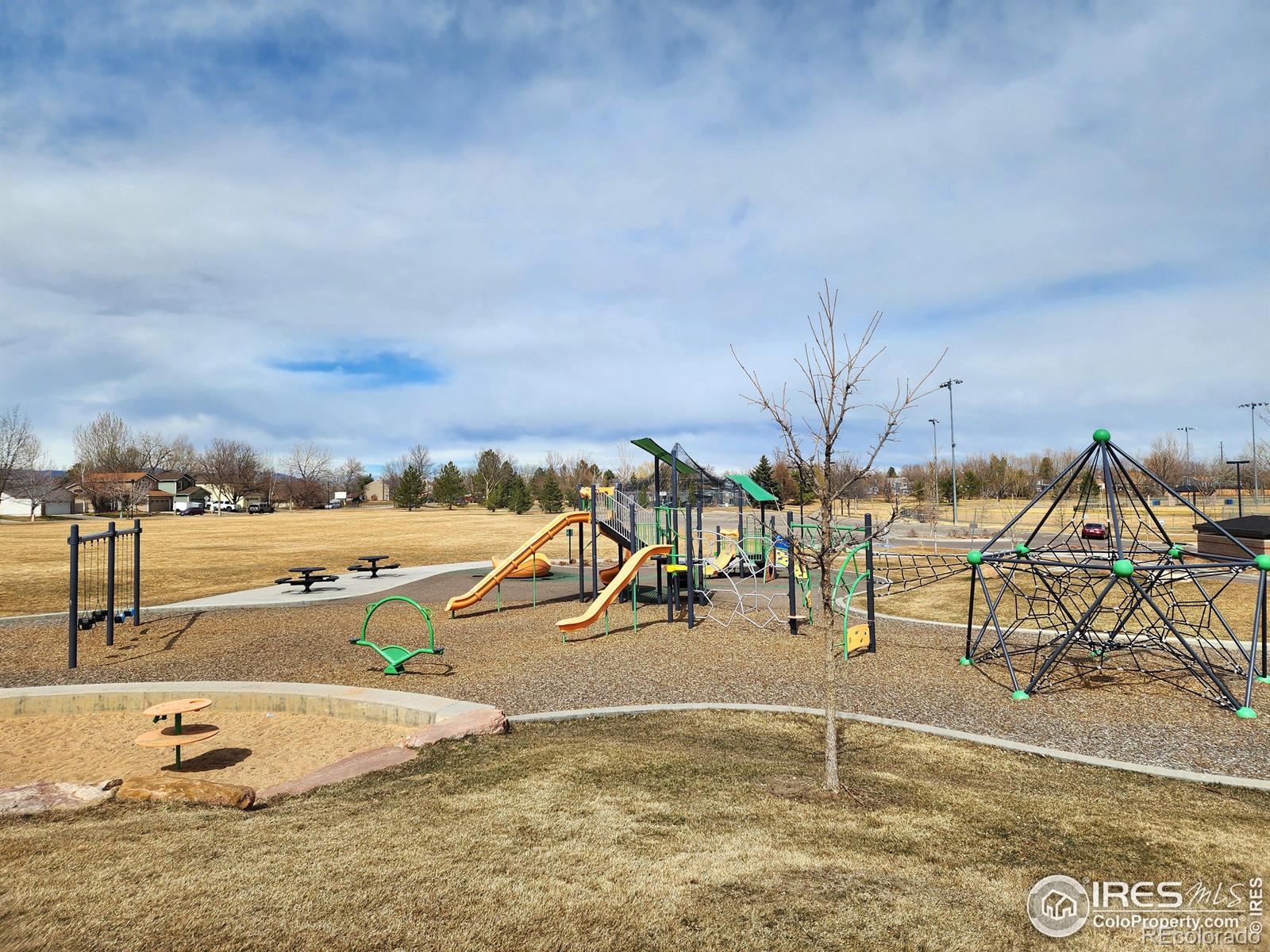 MLS Image #35 for 1754  linden street,longmont, Colorado