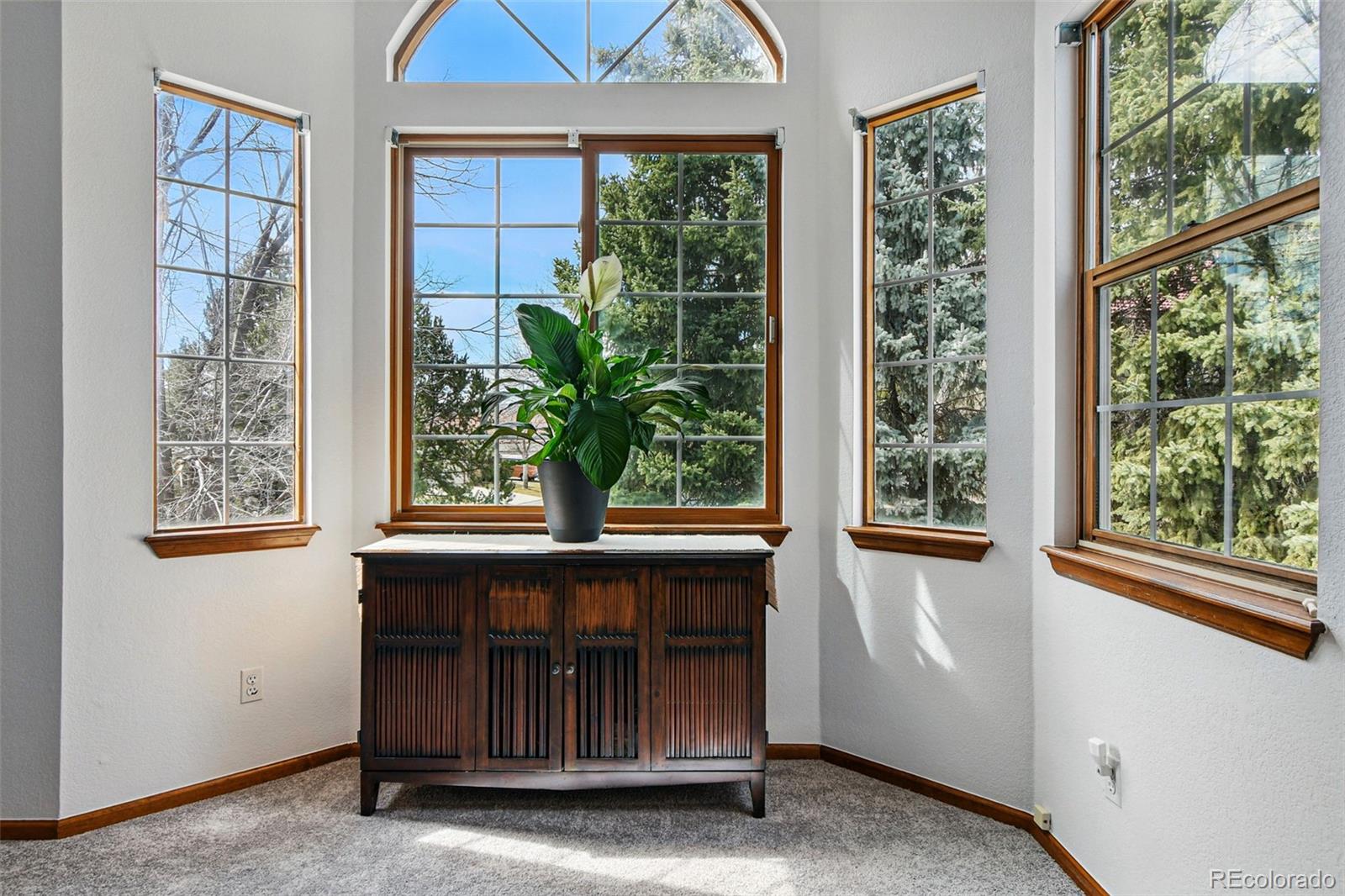 MLS Image #28 for 8427  pierson court,arvada, Colorado