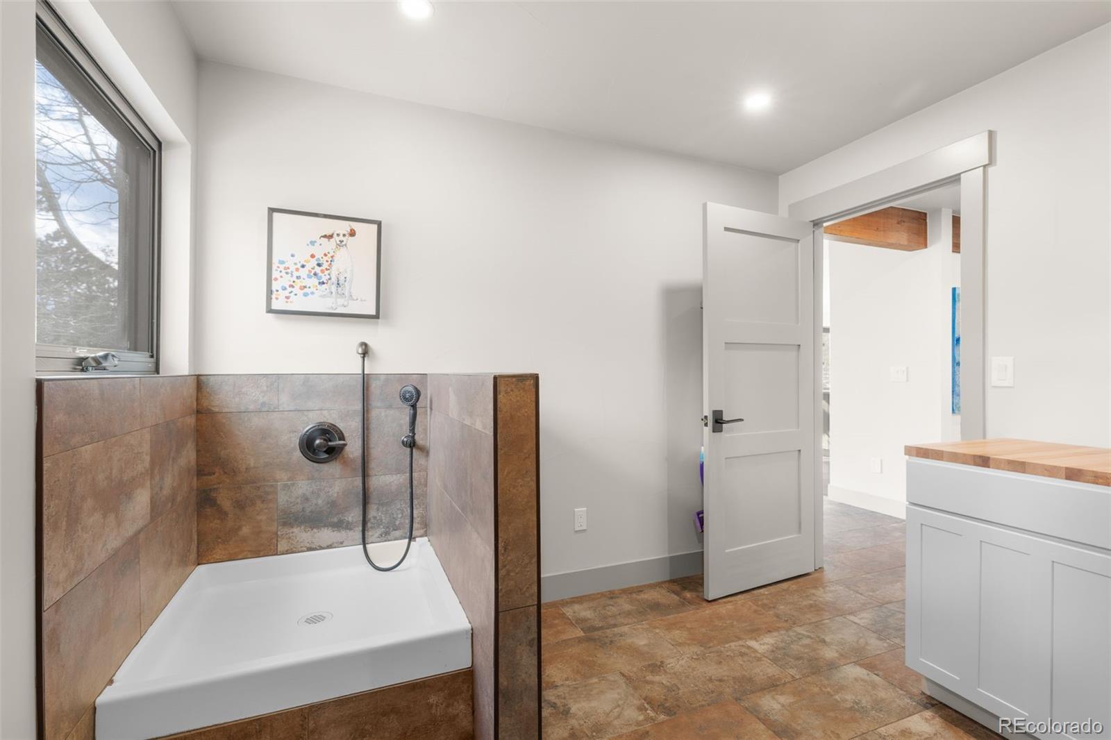 MLS Image #22 for 23785  currant drive,golden, Colorado