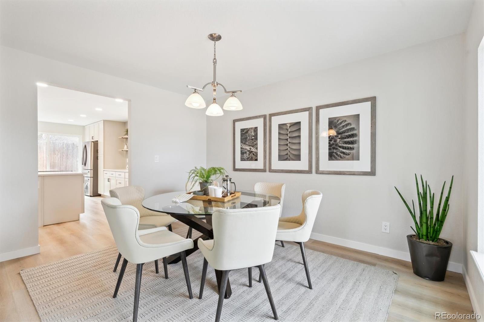 MLS Image #10 for 6032 s newport street,centennial, Colorado