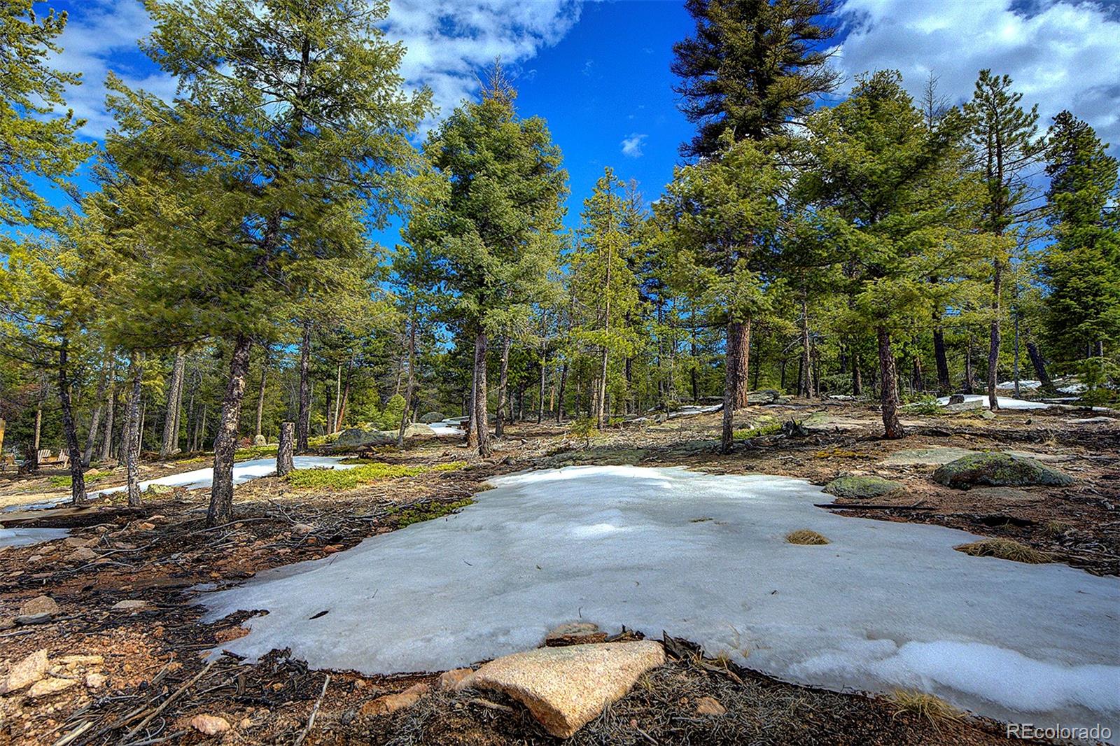 MLS Image #37 for 11405  conifer ridge drive,conifer, Colorado