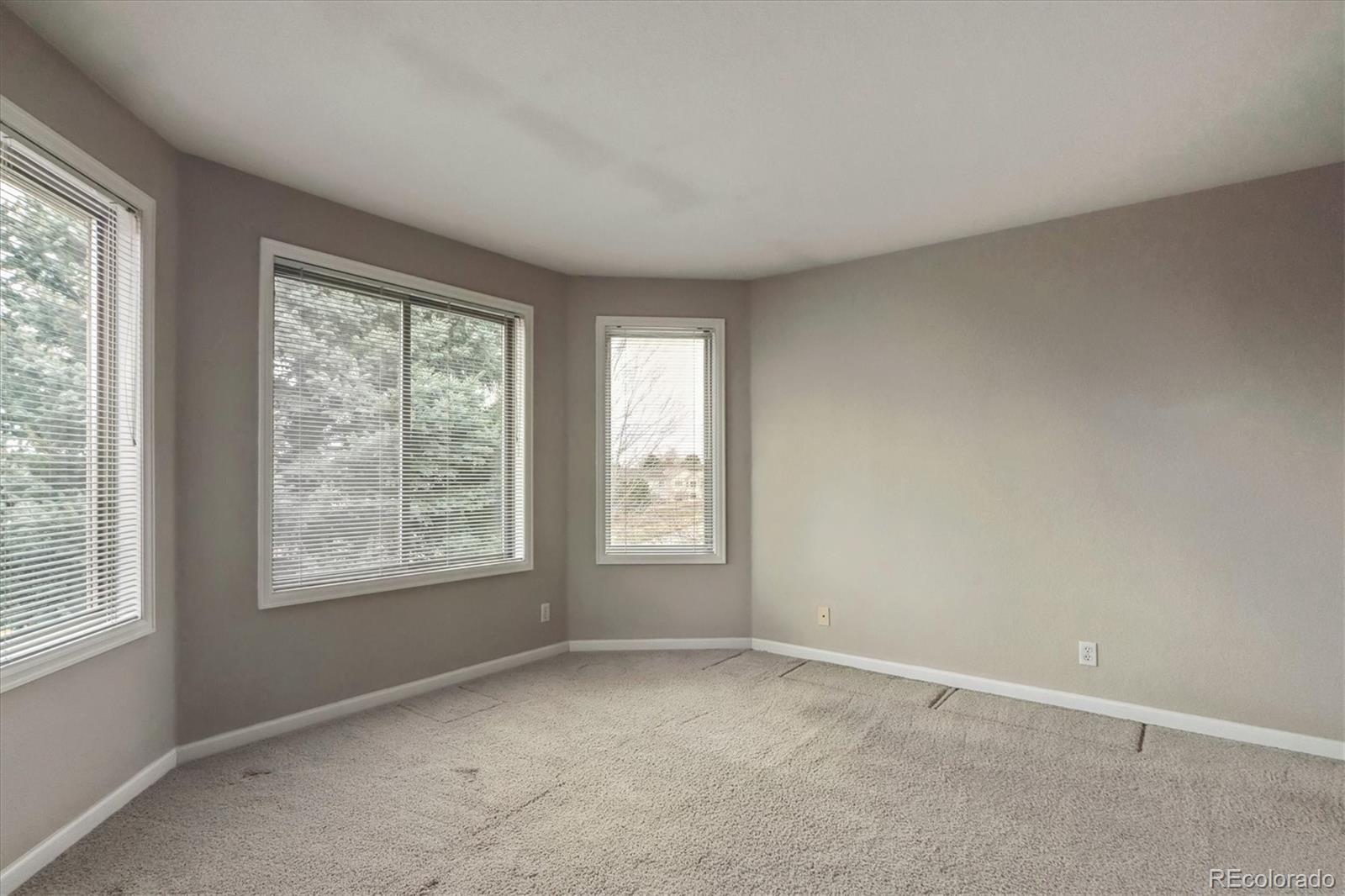 MLS Image #21 for 401 w prestwick way,castle rock, Colorado