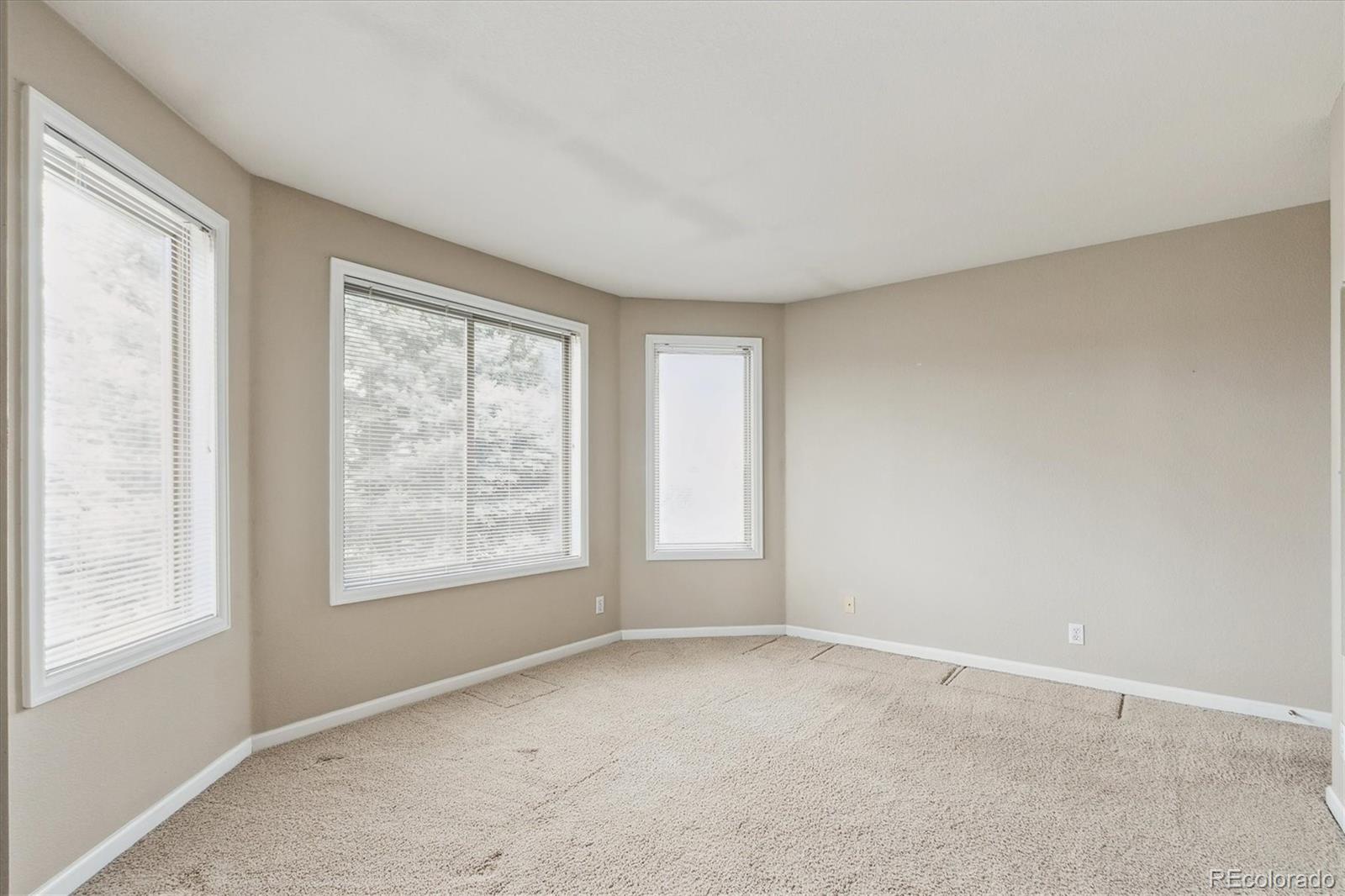 MLS Image #25 for 401 w prestwick way,castle rock, Colorado