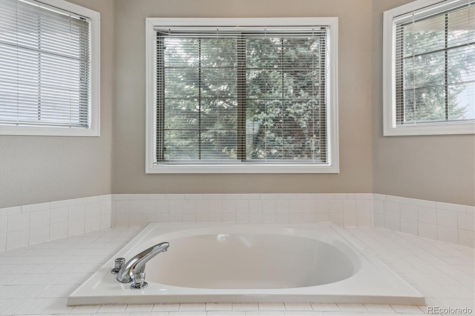 MLS Image #27 for 401 w prestwick way,castle rock, Colorado
