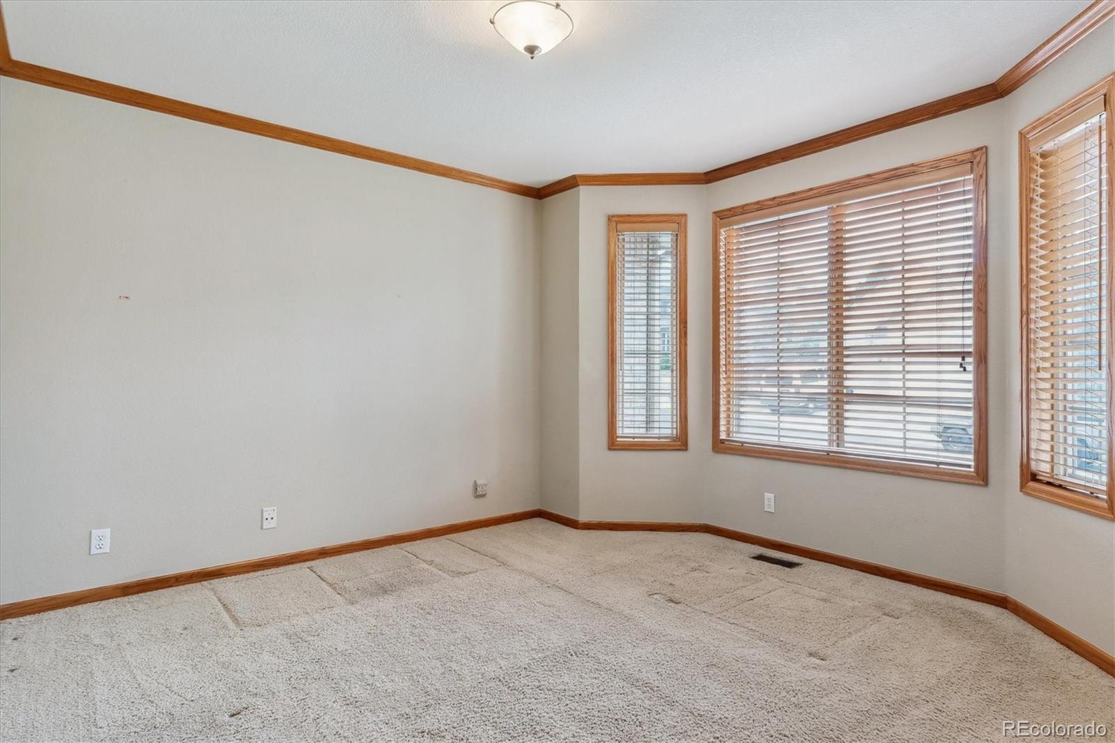 MLS Image #7 for 401 w prestwick way,castle rock, Colorado
