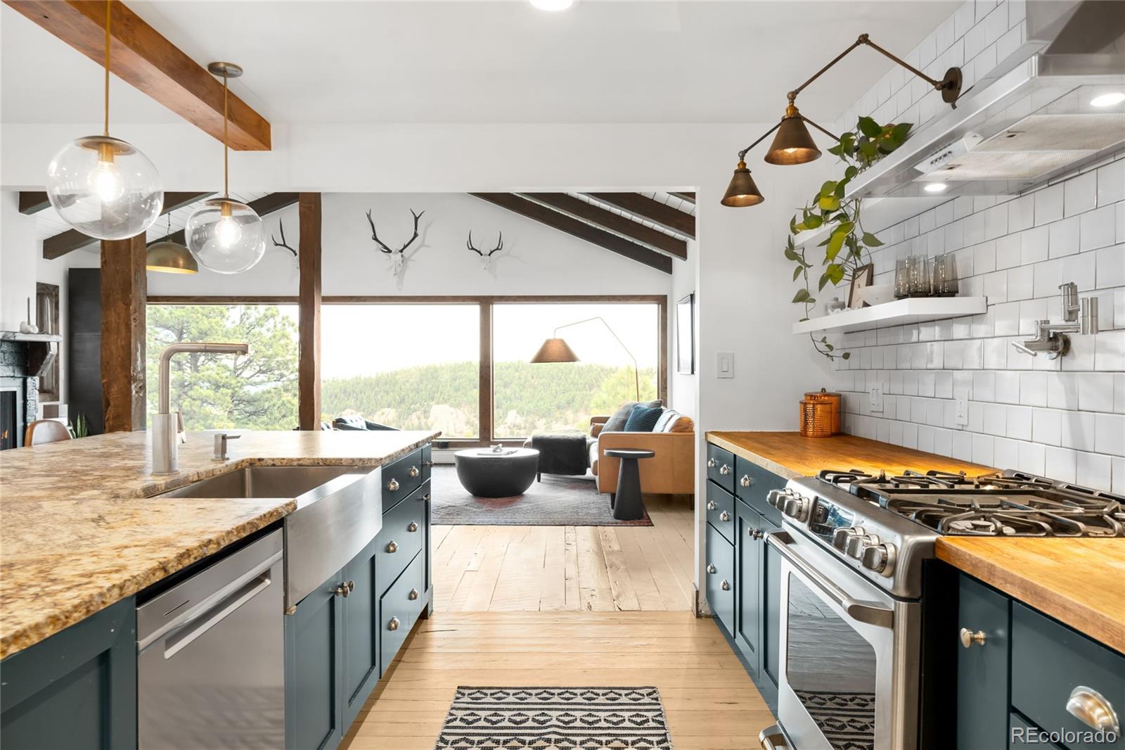 MLS Image #8 for 9019  ute drive,golden, Colorado