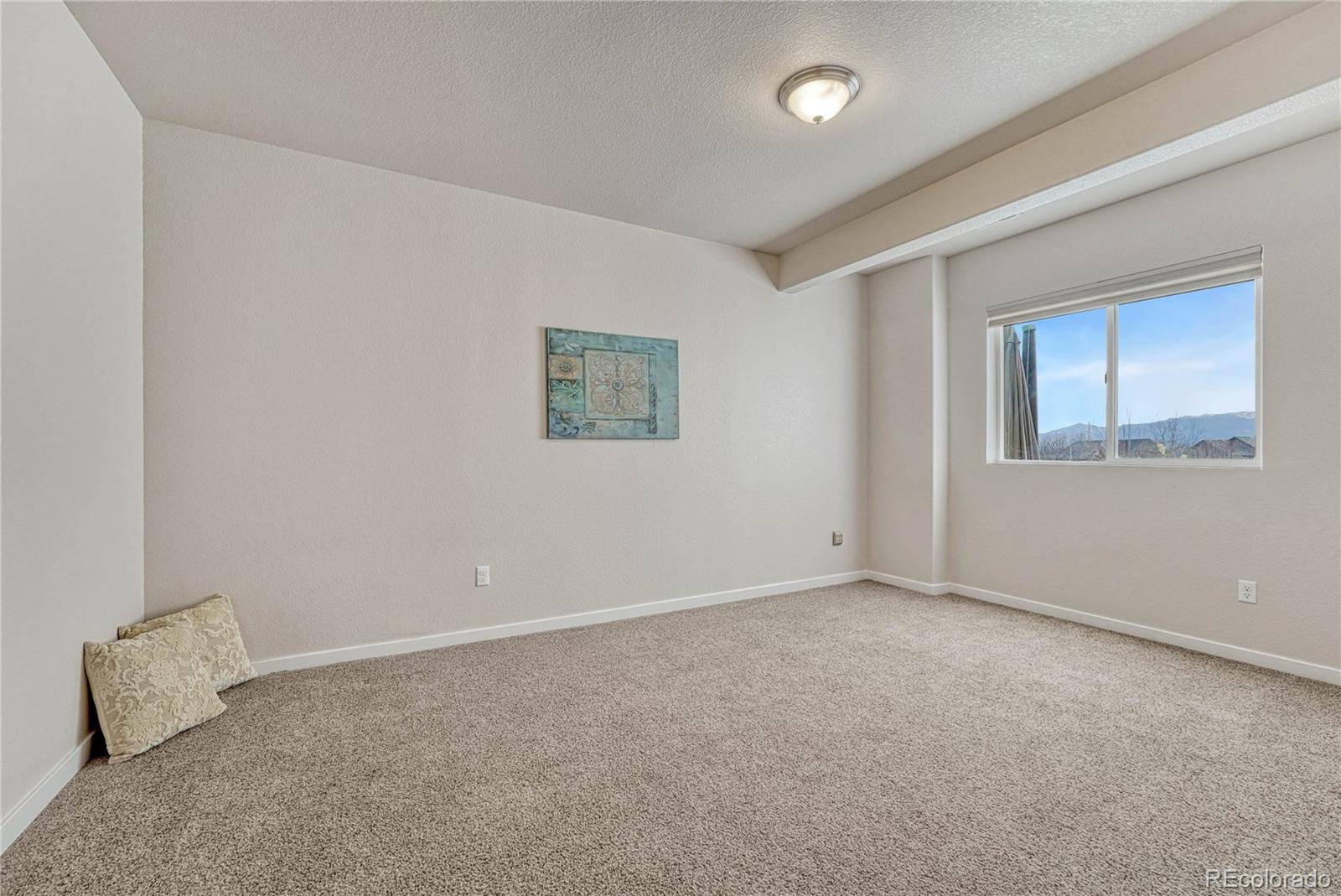 MLS Image #40 for 10868  rolling cloud drive,colorado springs, Colorado