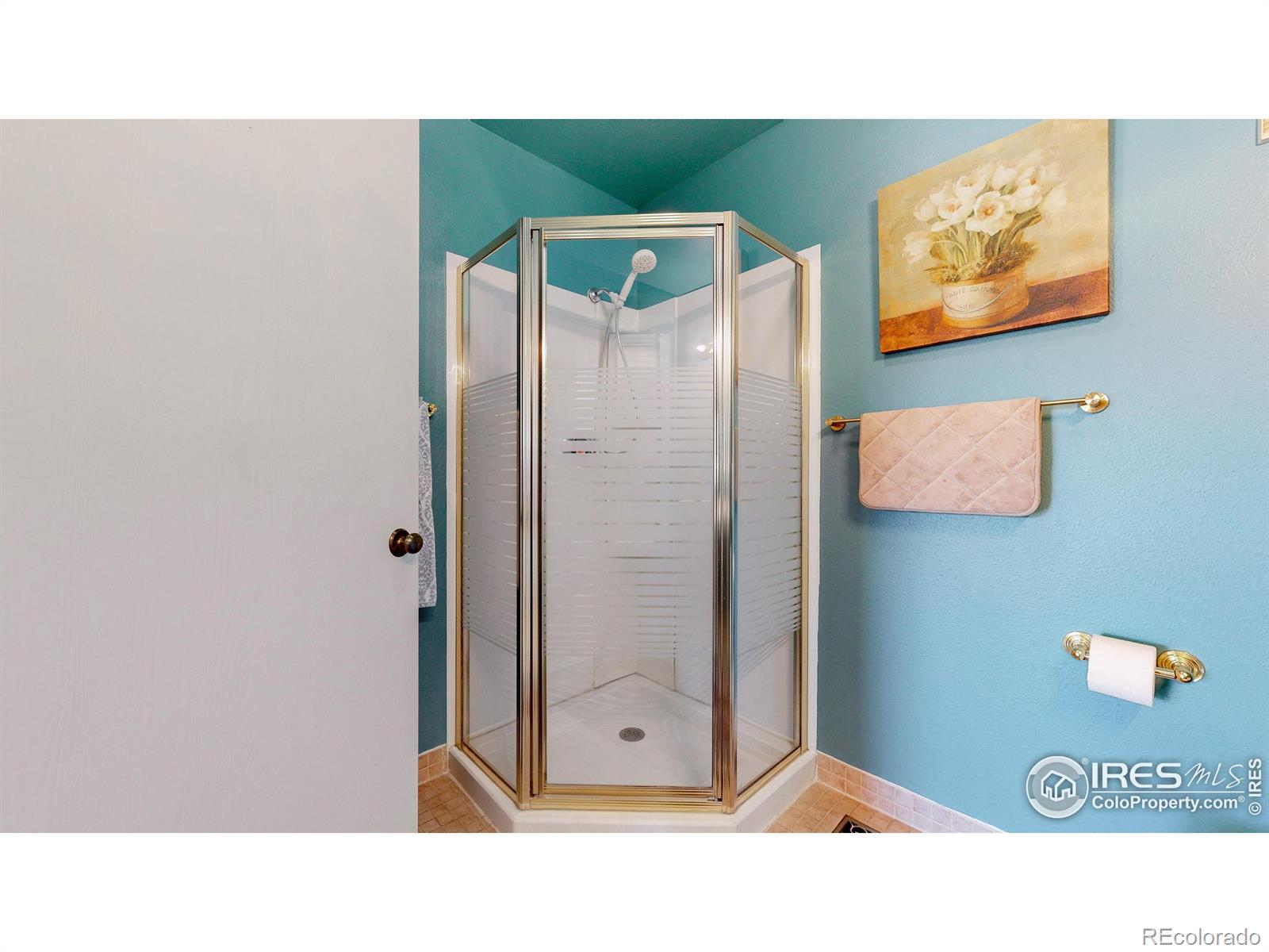 MLS Image #15 for 5413  fossil court,fort collins, Colorado