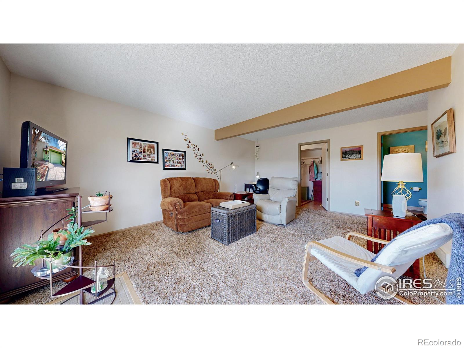 MLS Image #6 for 5413  fossil court,fort collins, Colorado