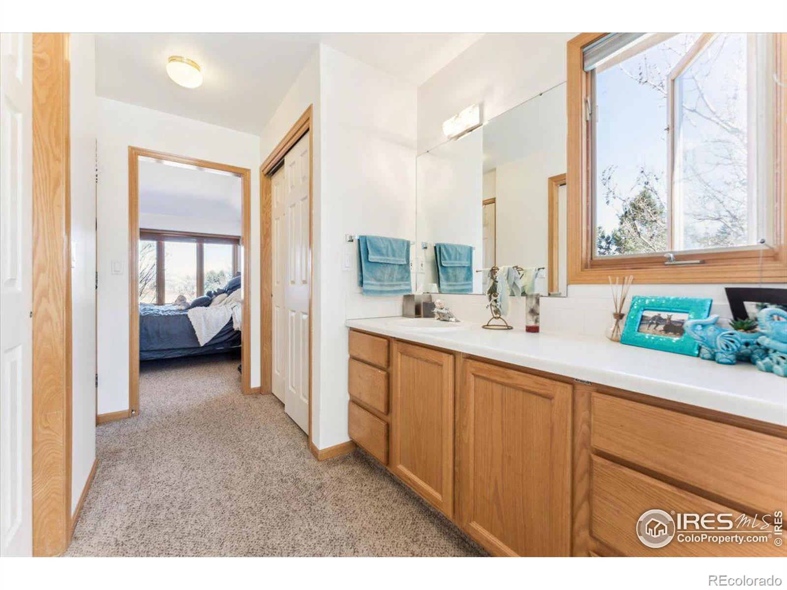 MLS Image #26 for 347  turman drive,fort collins, Colorado