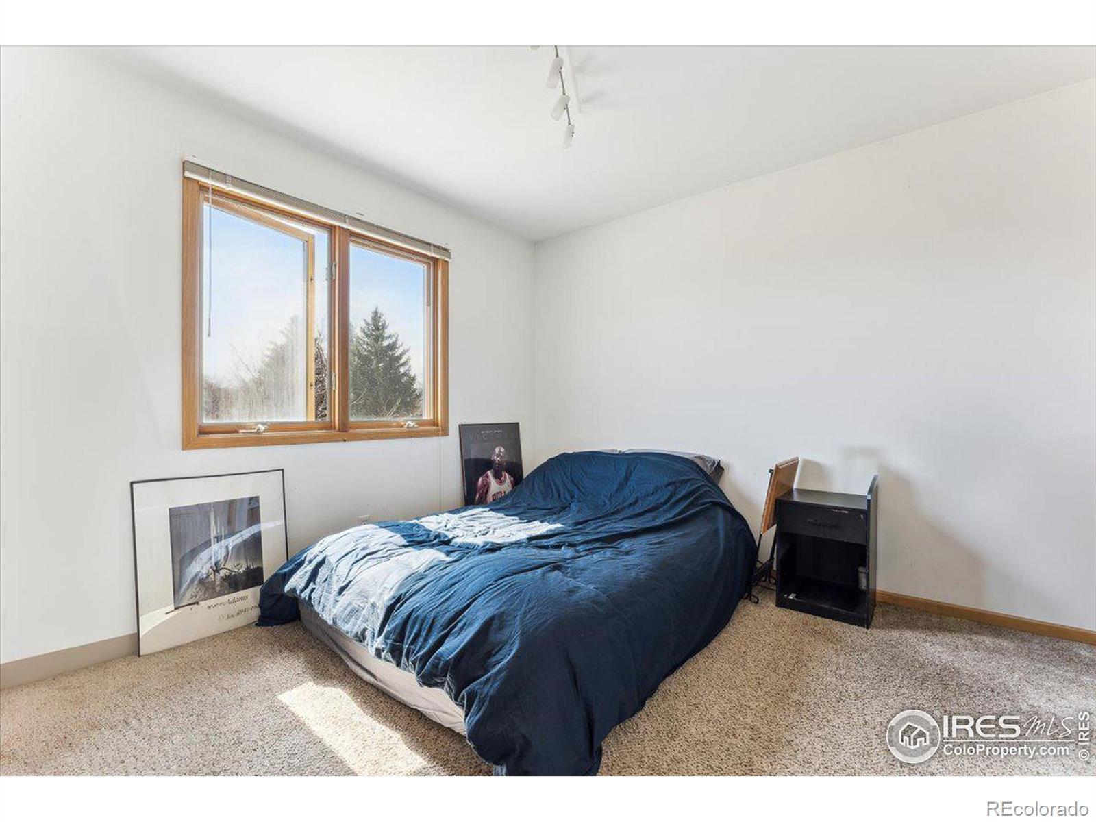 MLS Image #29 for 347  turman drive,fort collins, Colorado