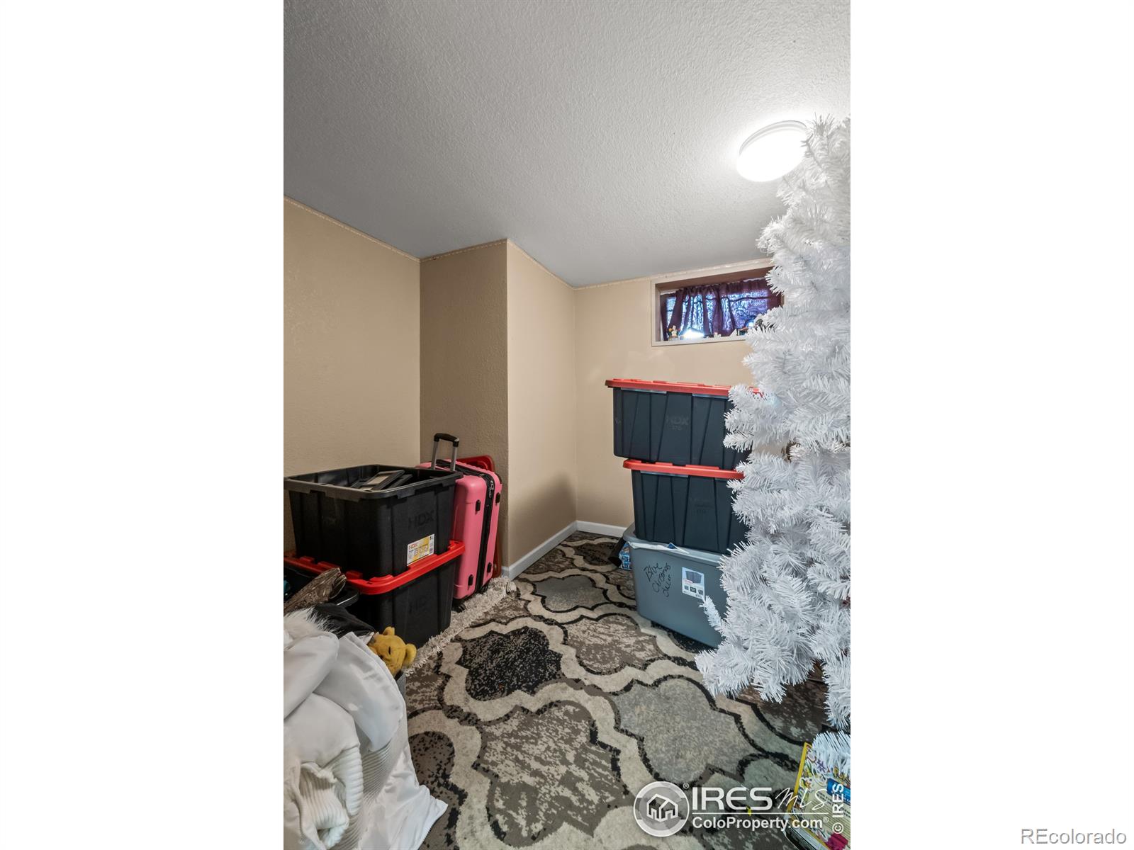 MLS Image #23 for 406  turner street,brush, Colorado