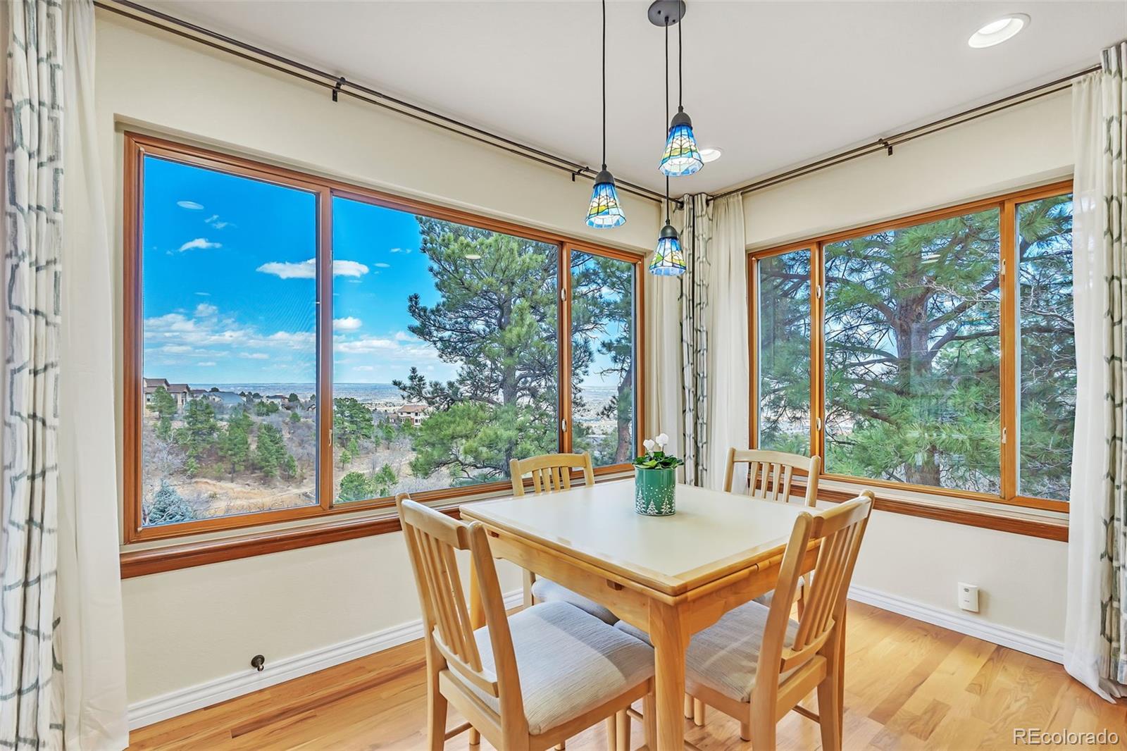 MLS Image #12 for 180  odessa place,colorado springs, Colorado