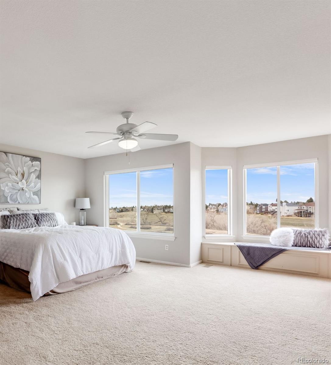 MLS Image #14 for 6749  shannon trail,highlands ranch, Colorado