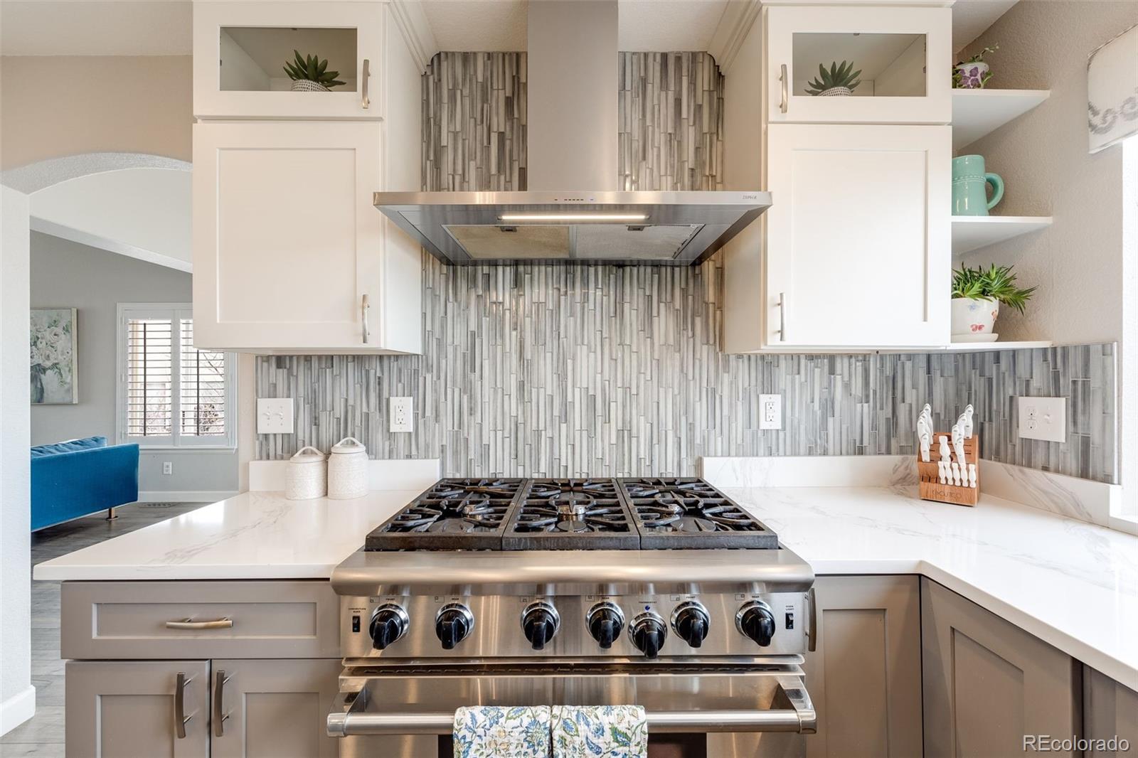 MLS Image #8 for 6749  shannon trail,highlands ranch, Colorado