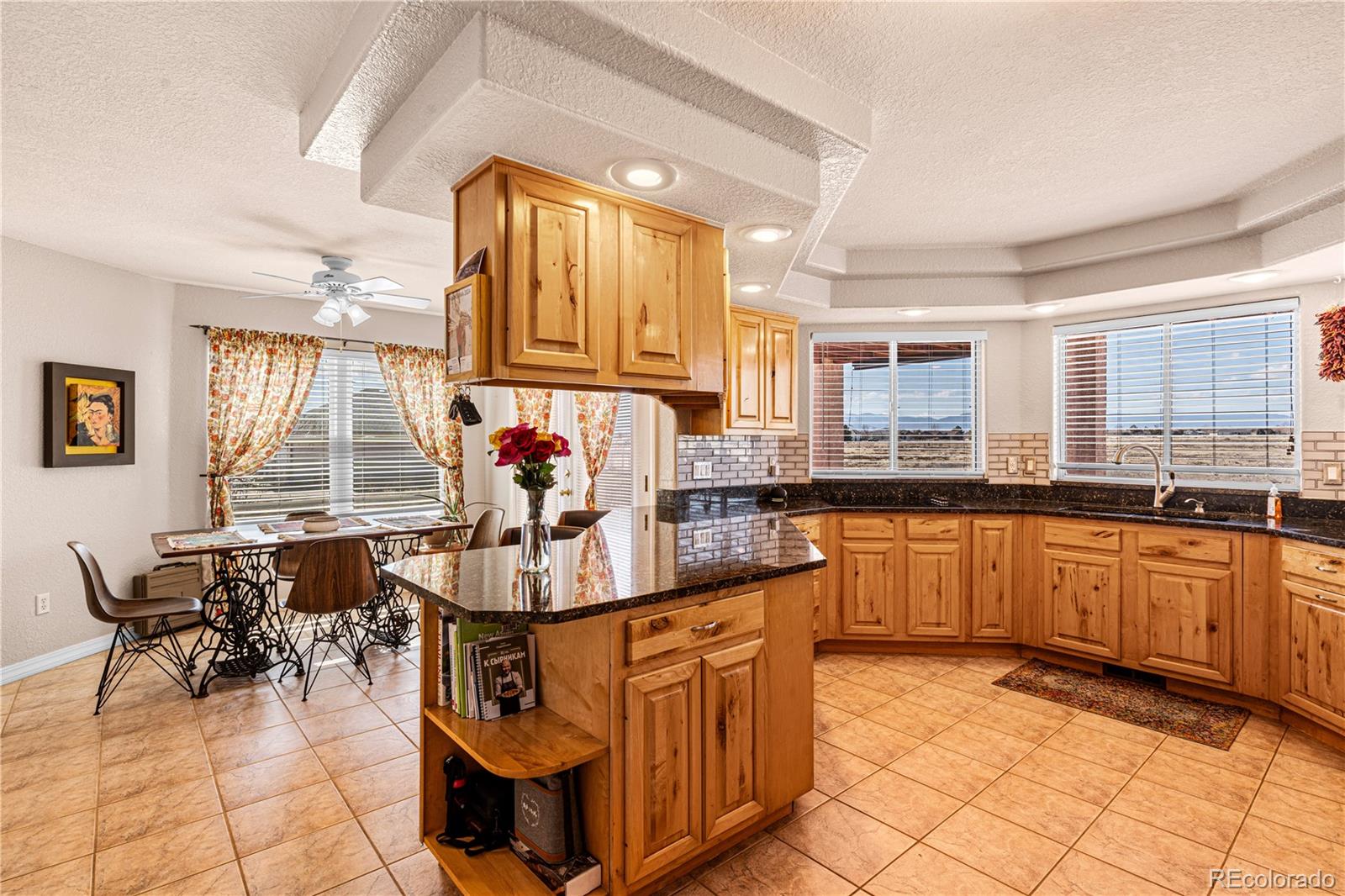 MLS Image #9 for 135 s hacienda del sol drive,pueblo, Colorado