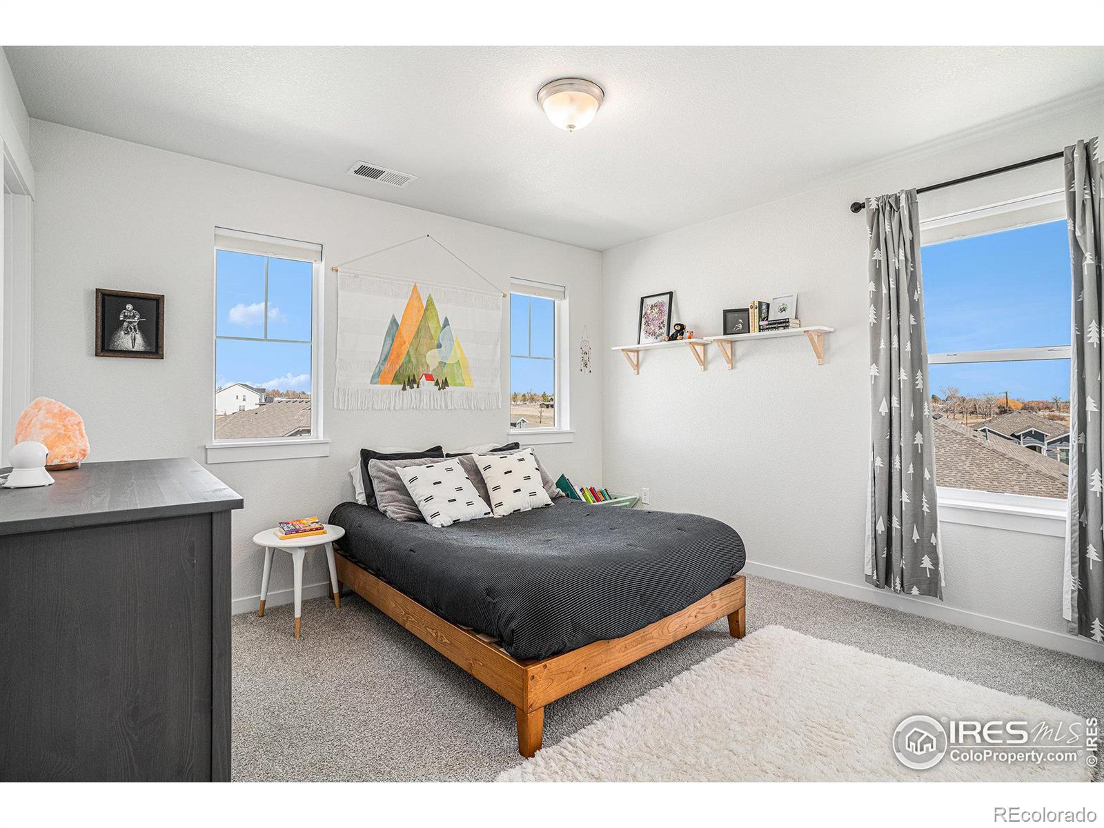 MLS Image #12 for 299  bronco court,berthoud, Colorado