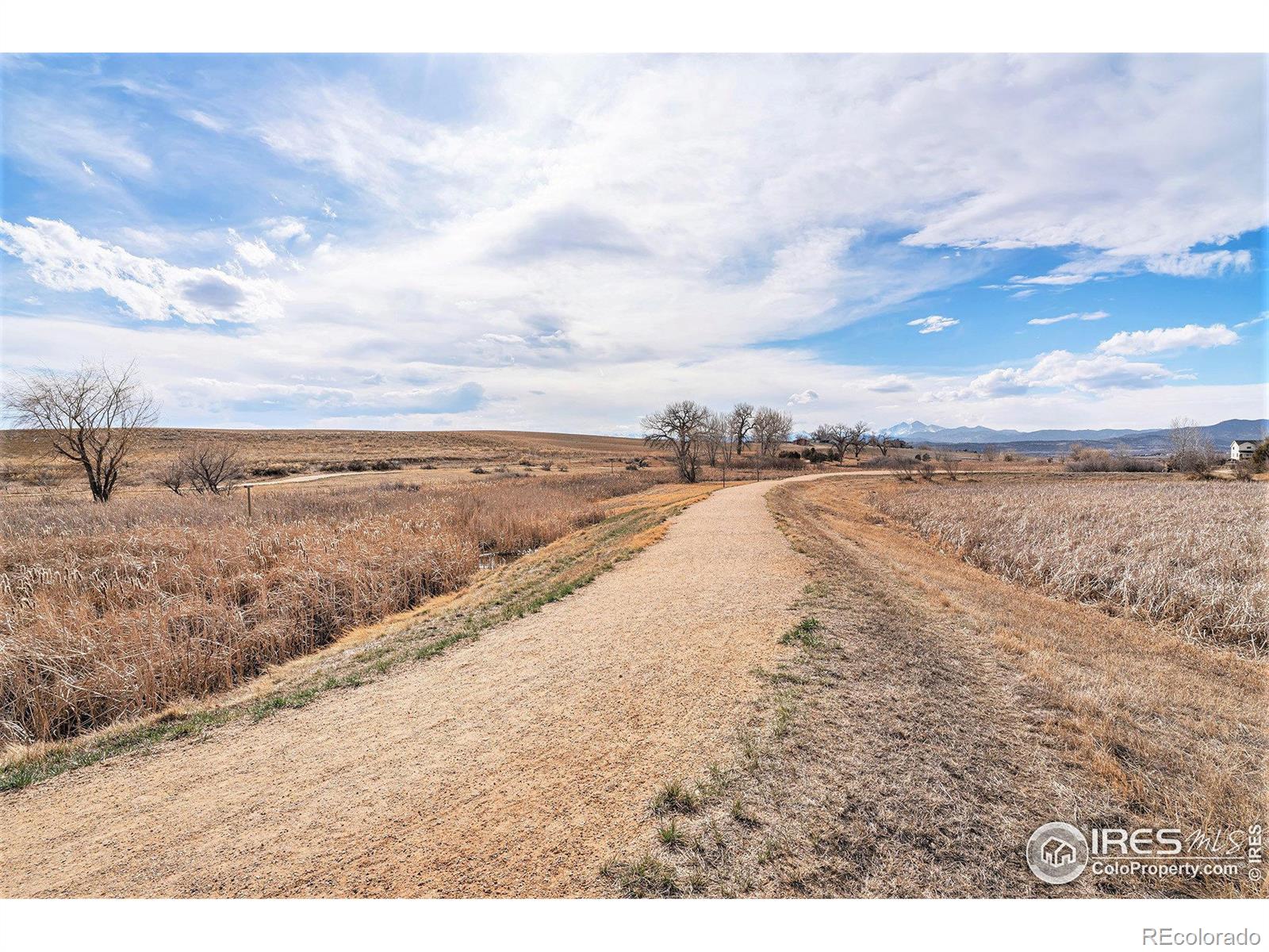 MLS Image #31 for 299  bronco court,berthoud, Colorado
