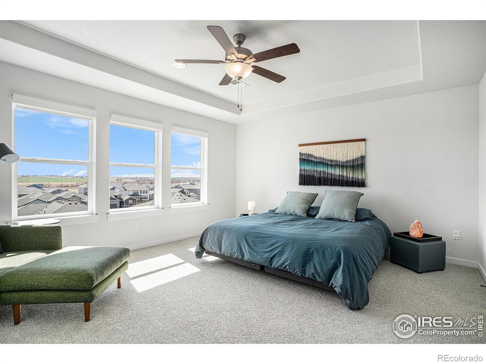 MLS Image #9 for 299  bronco court,berthoud, Colorado