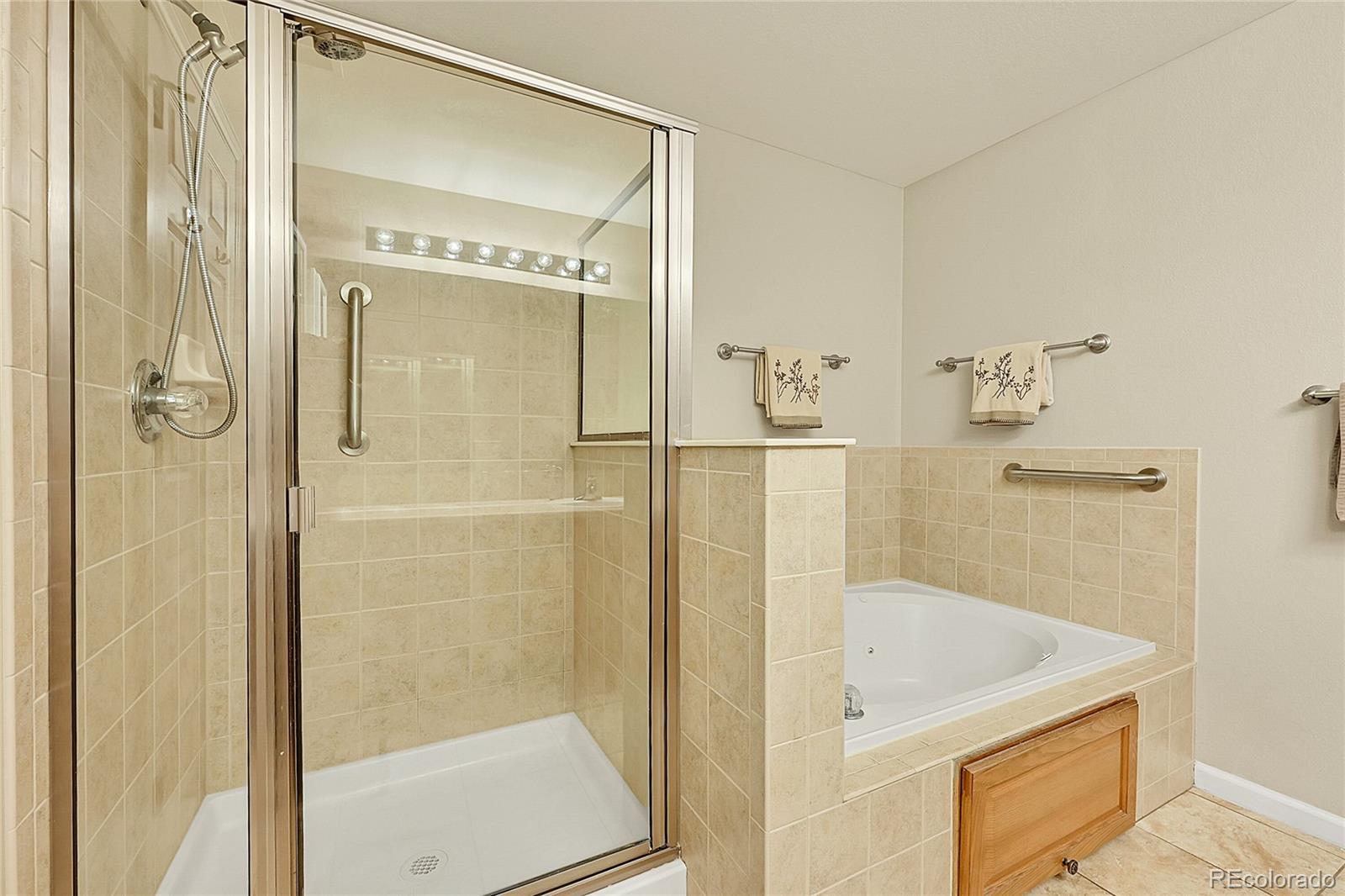 MLS Image #14 for 23255  york avenue ,parker, Colorado