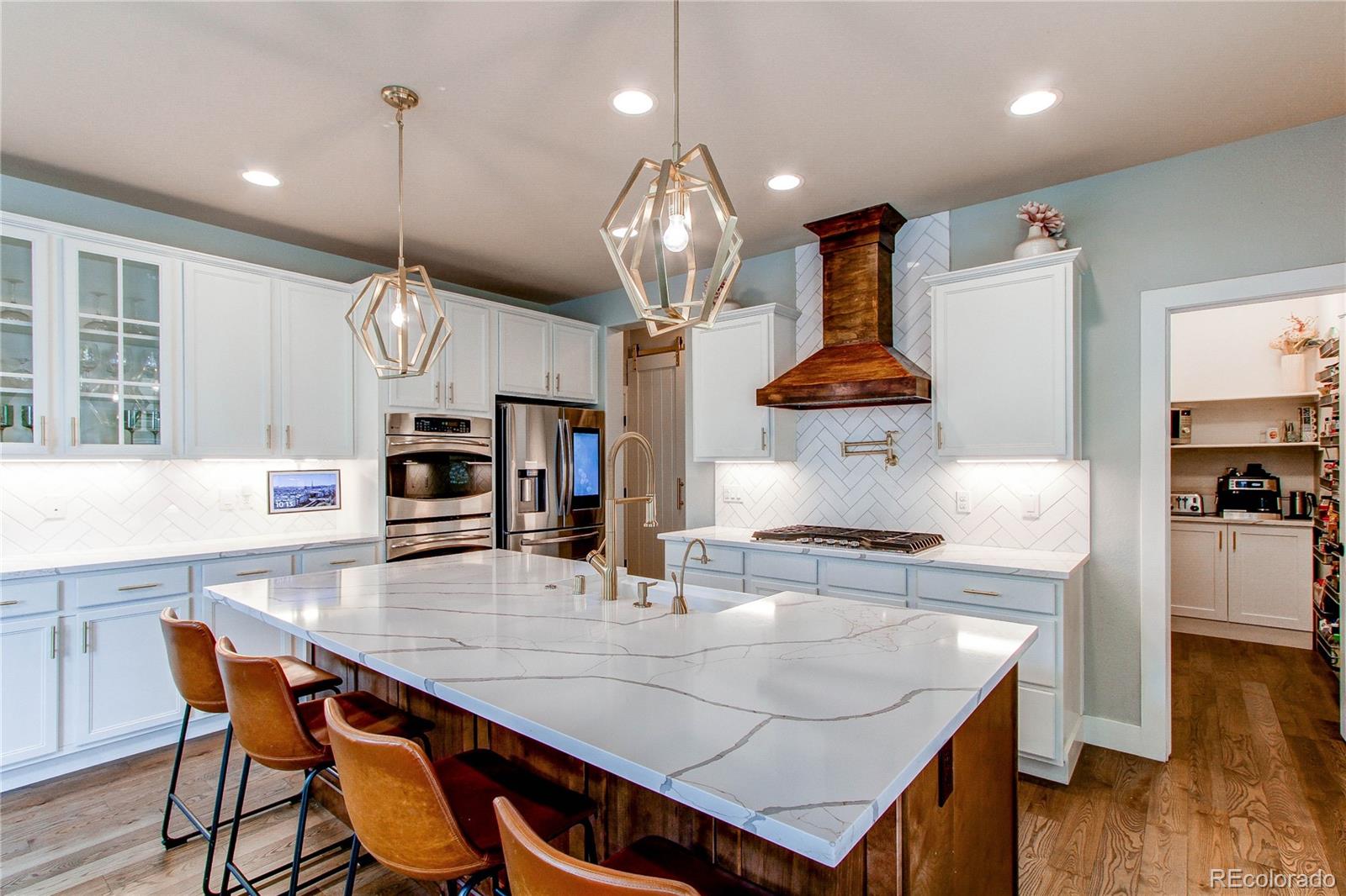 MLS Image #12 for 2766  red hawk ridge drive,castle rock, Colorado